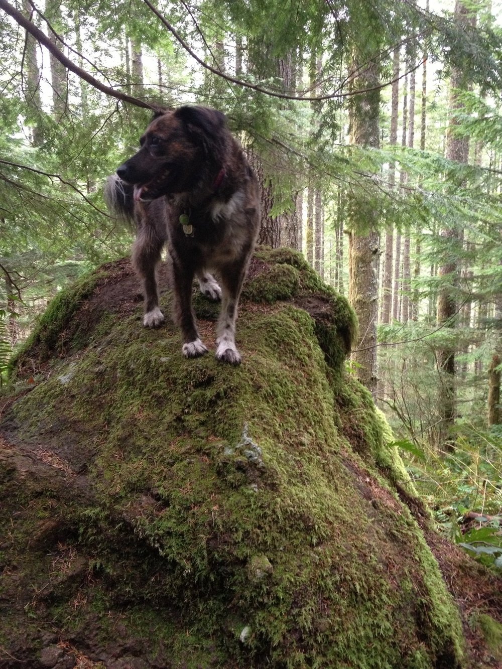 K9K8 Year in Review: 2013
