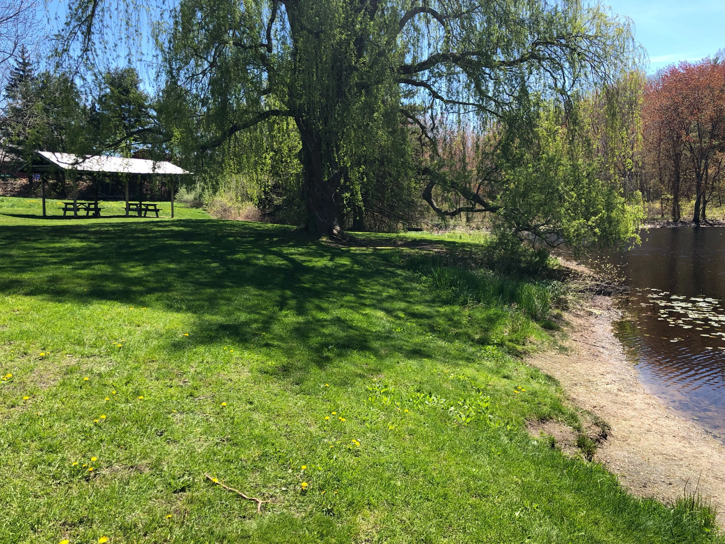 Pond-side Picnic at Mack’s