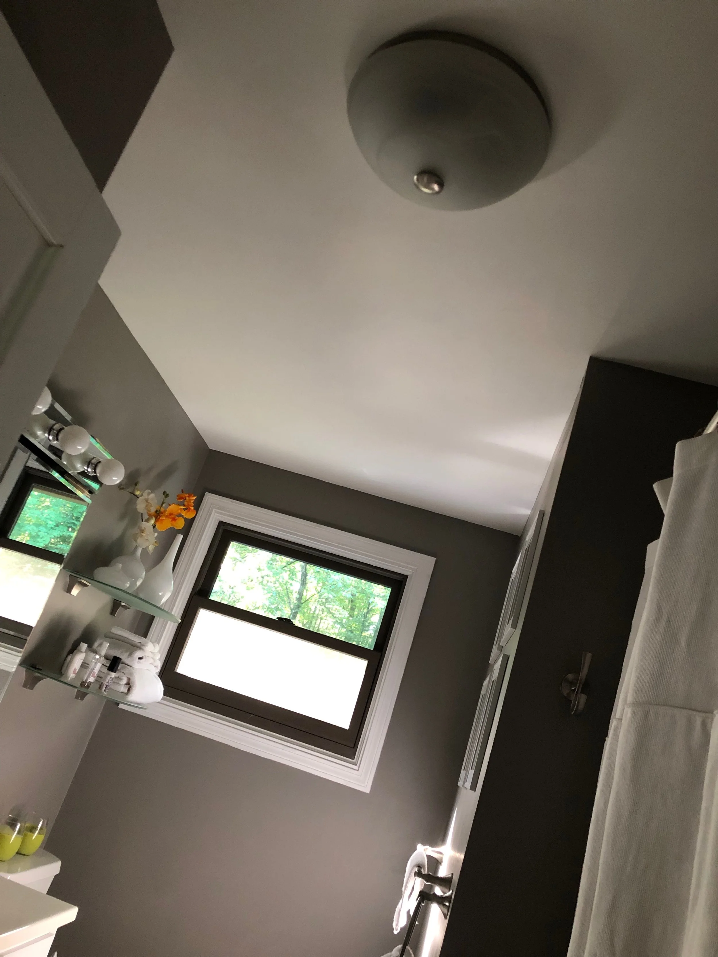 Guest Bathroom Ceiling