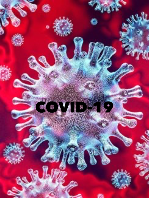 Coronavirus Update 