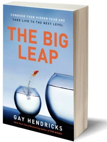 Book Review- The Big Leap 