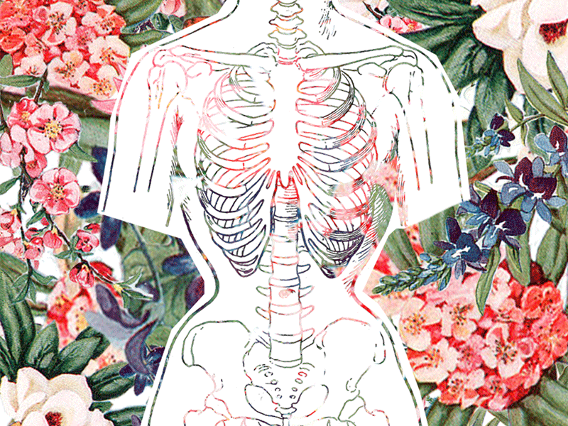 FlowerBody.gif