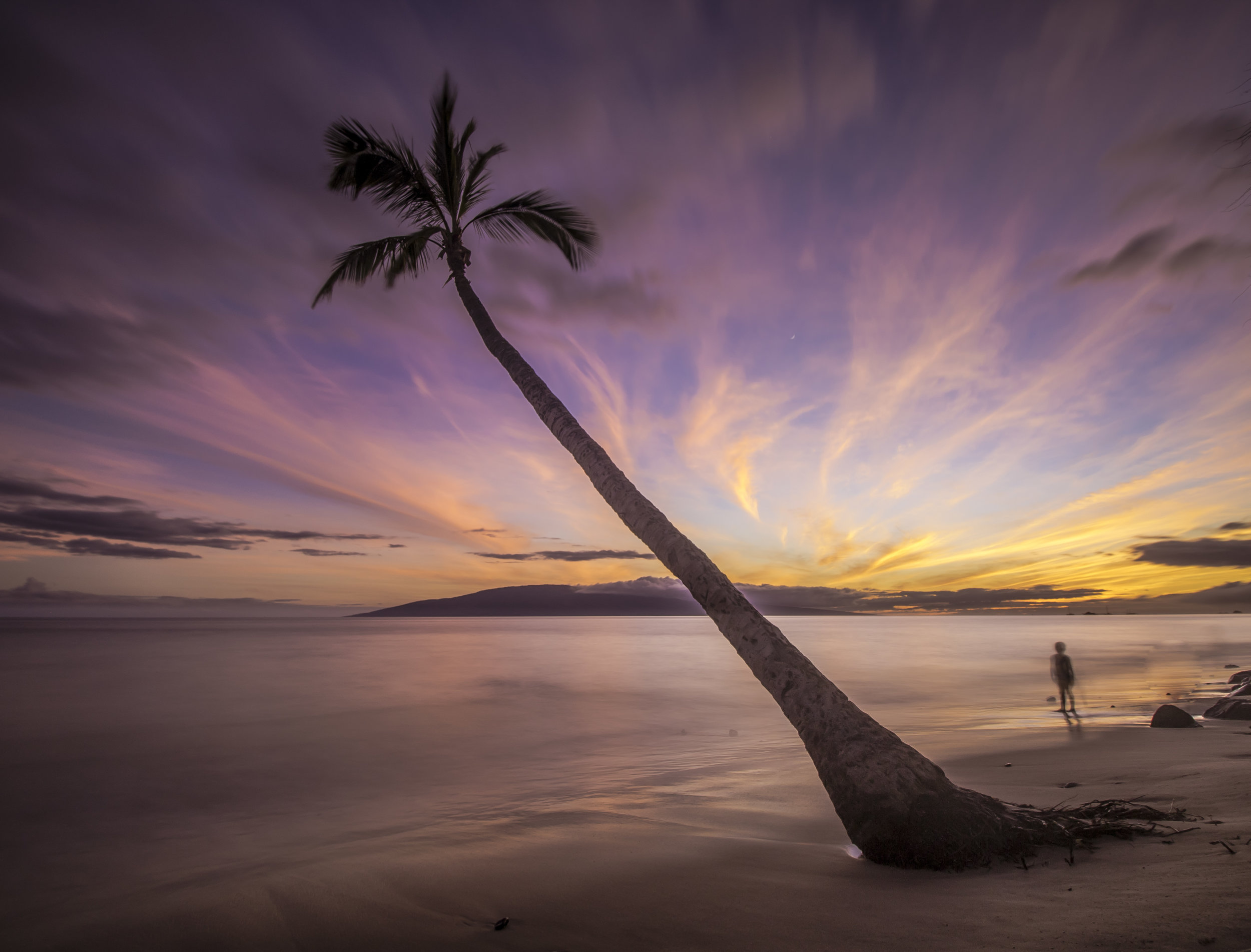 Lahaina Seascape 