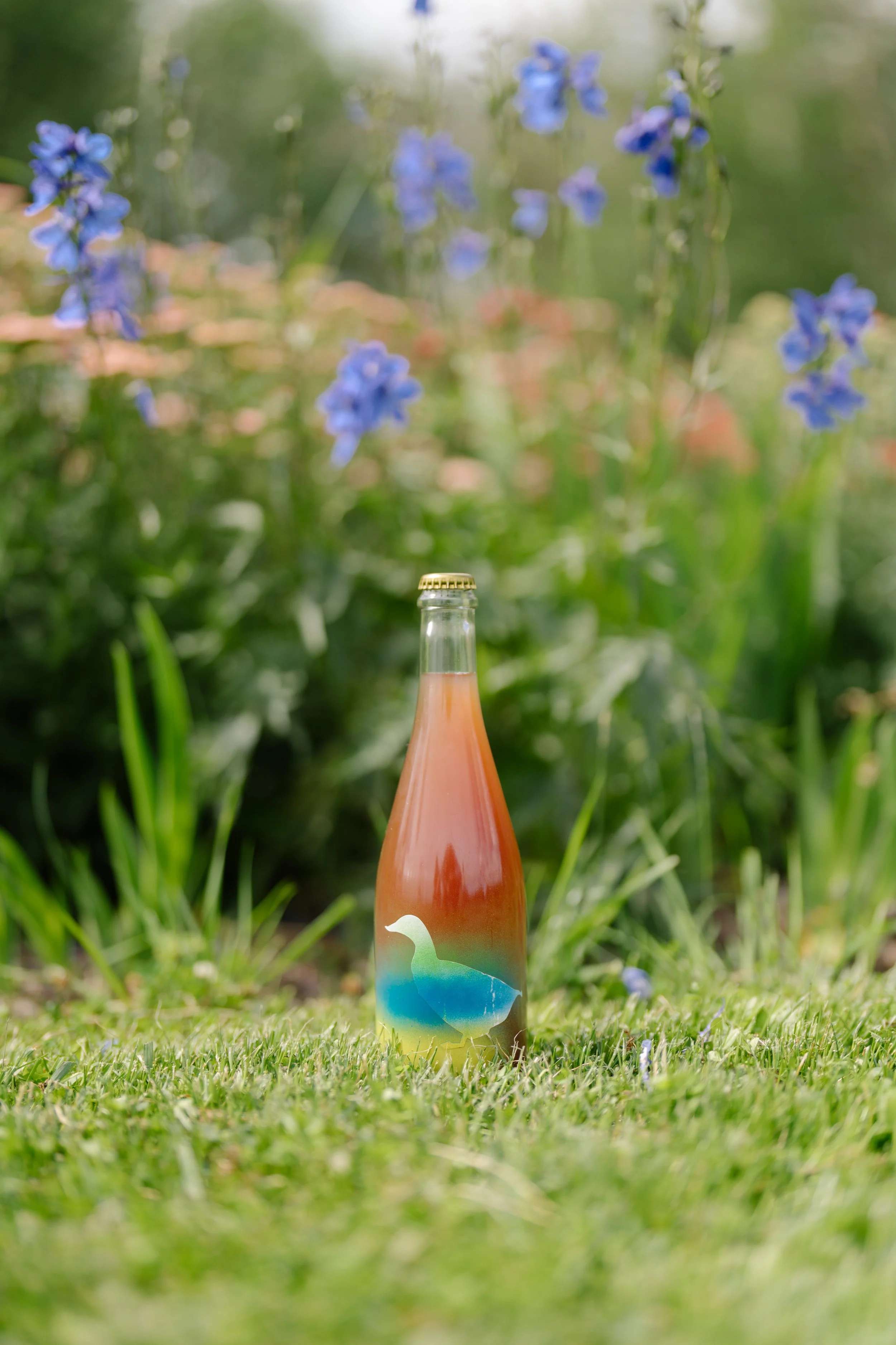 Duckman Duck Ray Wine