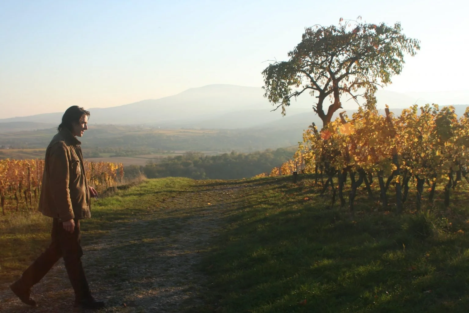 Domaine Bohn PWC
