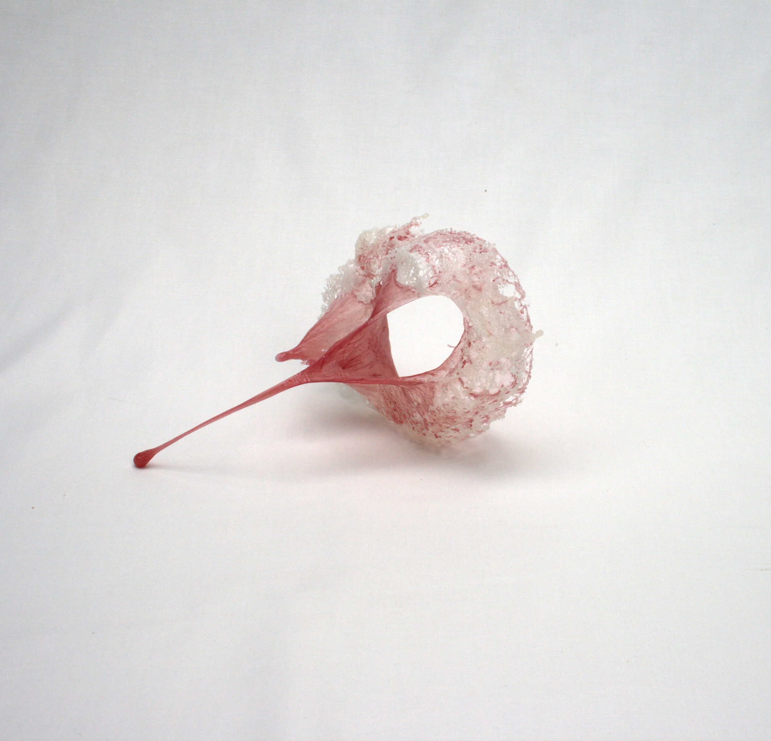 Rose 2