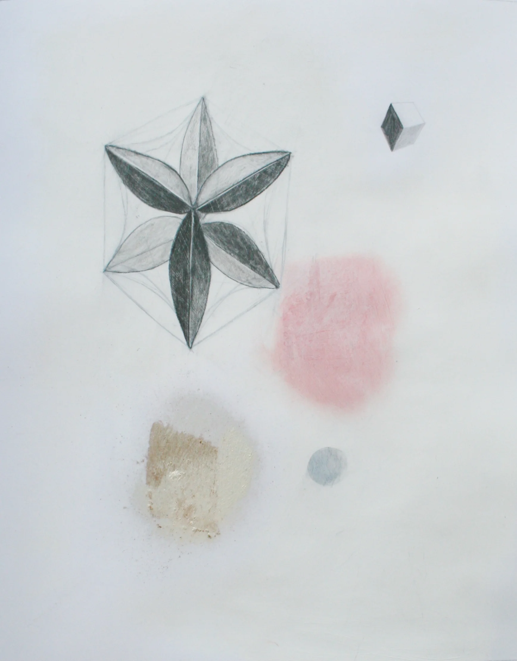 PINK CLOUD/GRAPHITE FLOWER