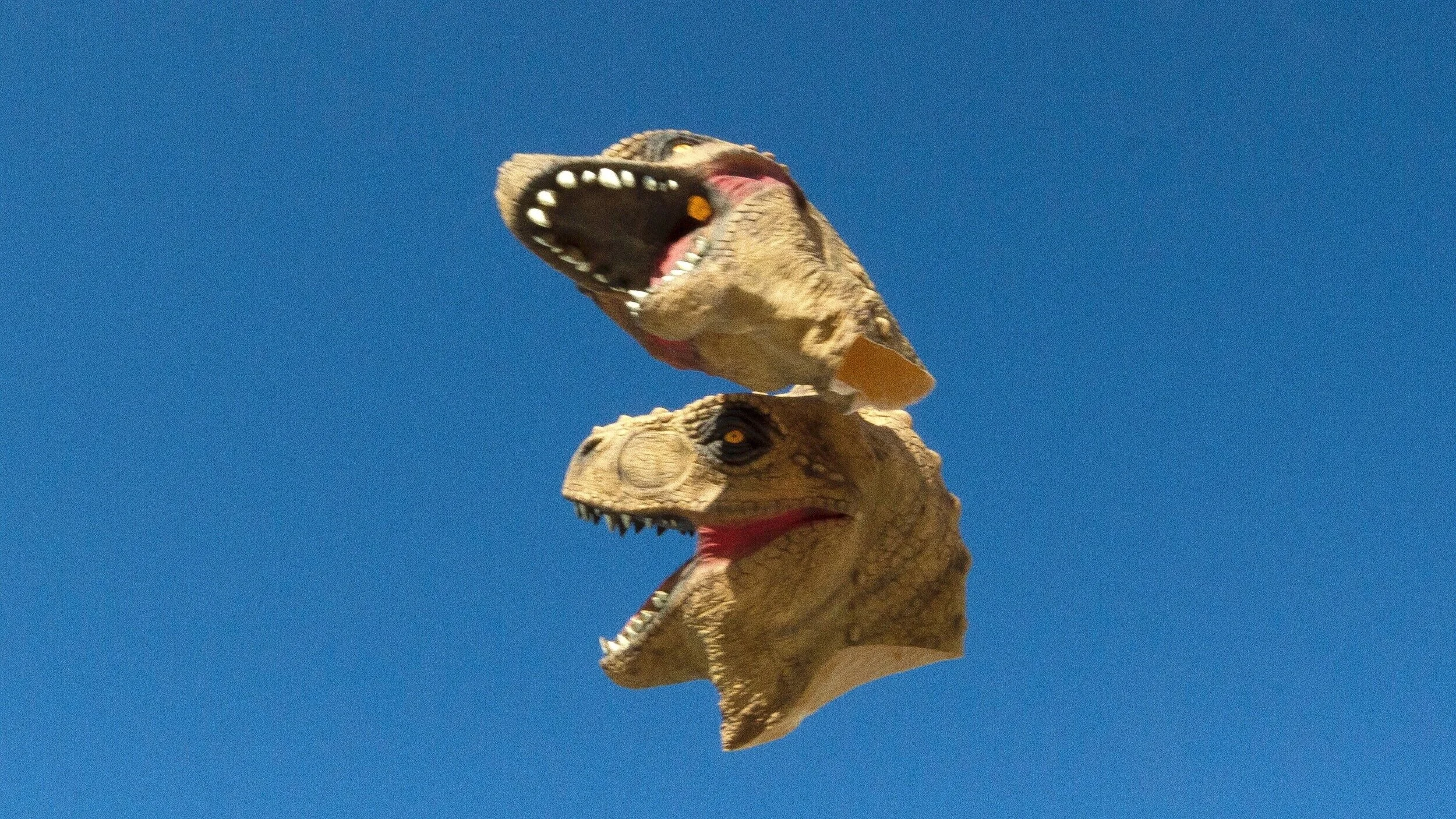 DINO - Dance in Bushwick x CreateART 