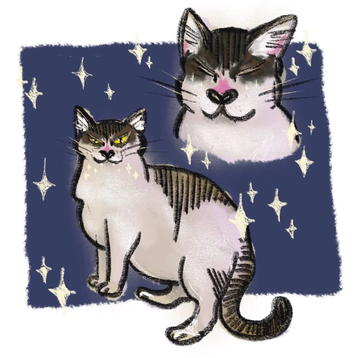 I doodled my cat Abby cause she&rsquo;s precious #procreate
