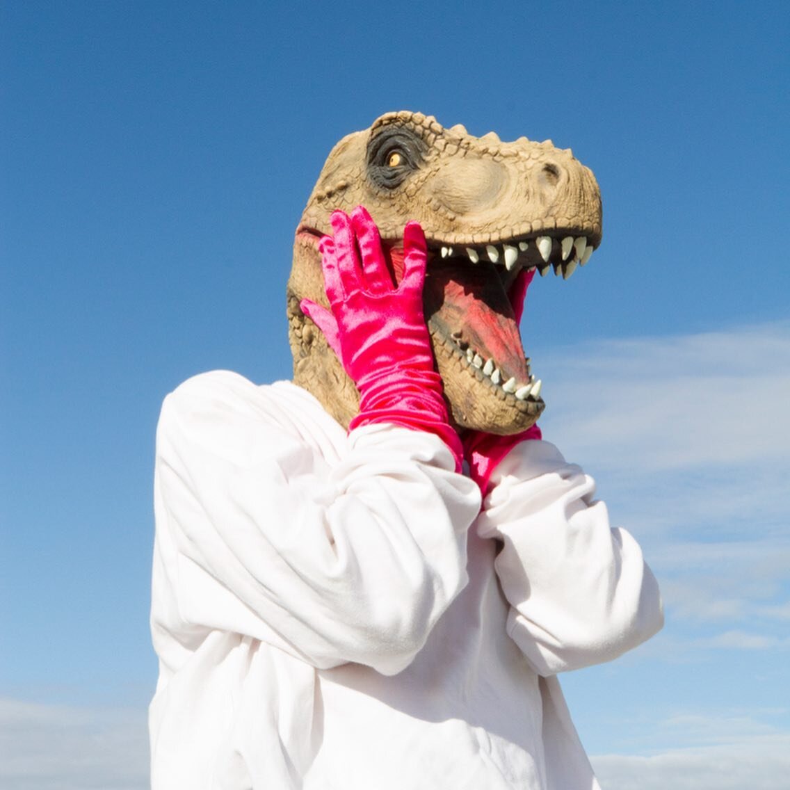 Thank you to all who came and saw Dino! #morecoming