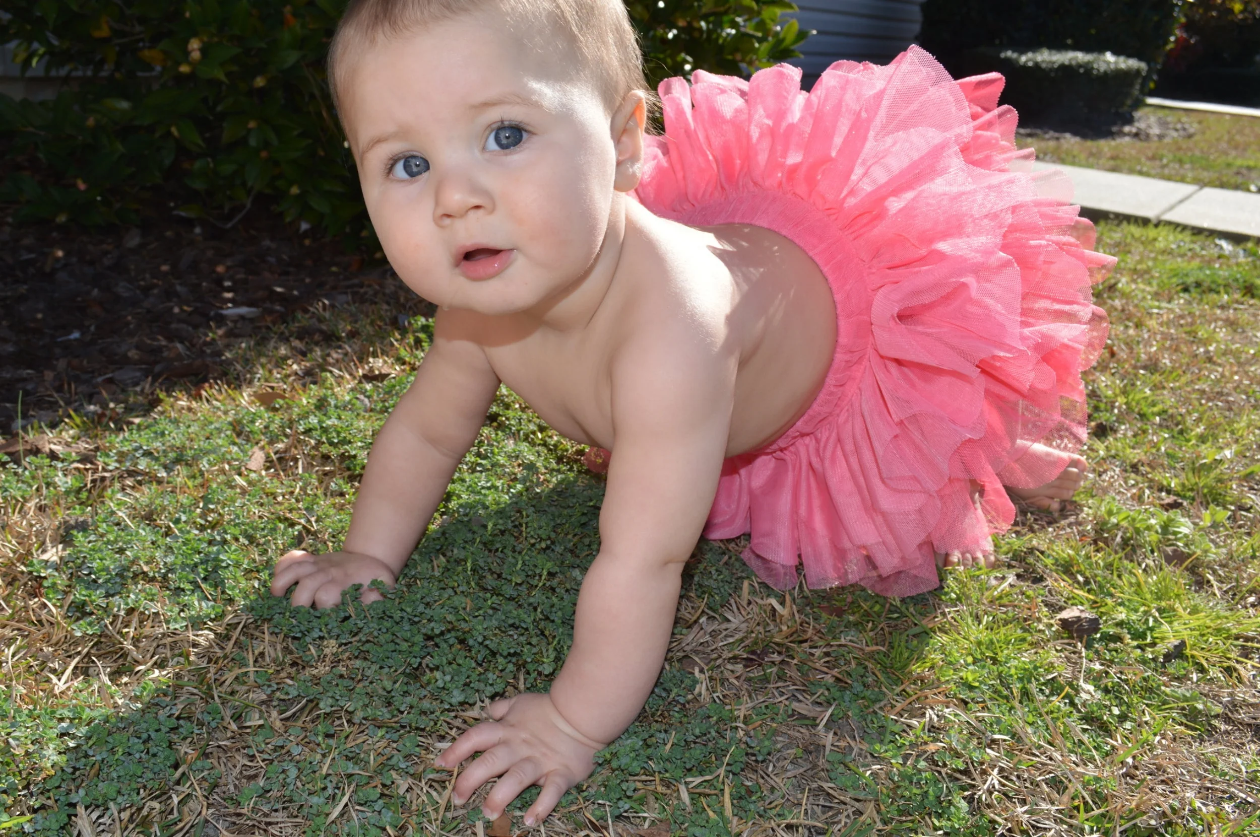 DSC_0097.JPG
