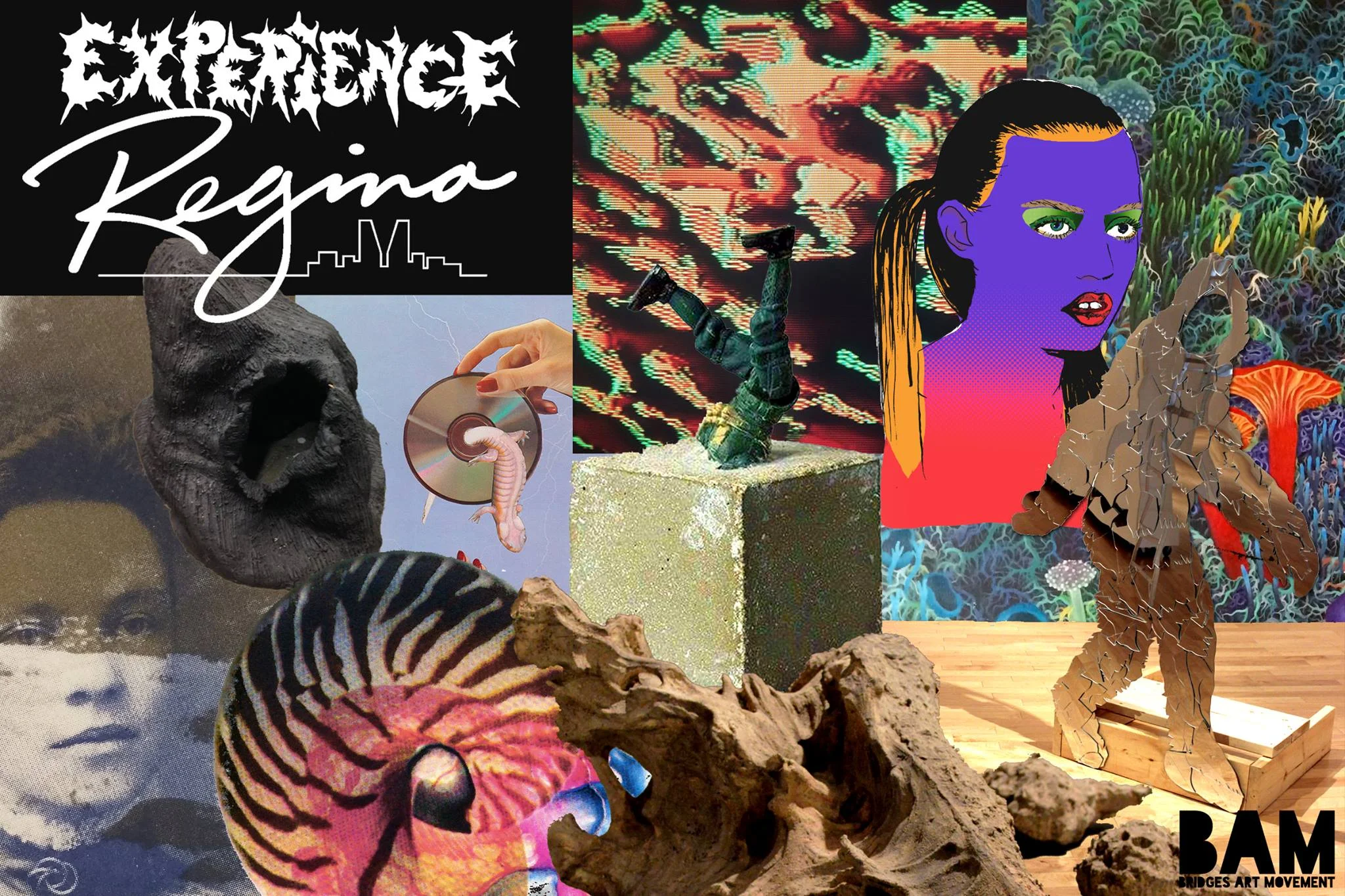 experience regina.jpg