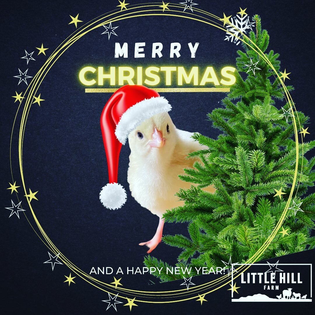 From all of us at Little Hill Farm we wish you a Merry Christmas and a Happy New Year!