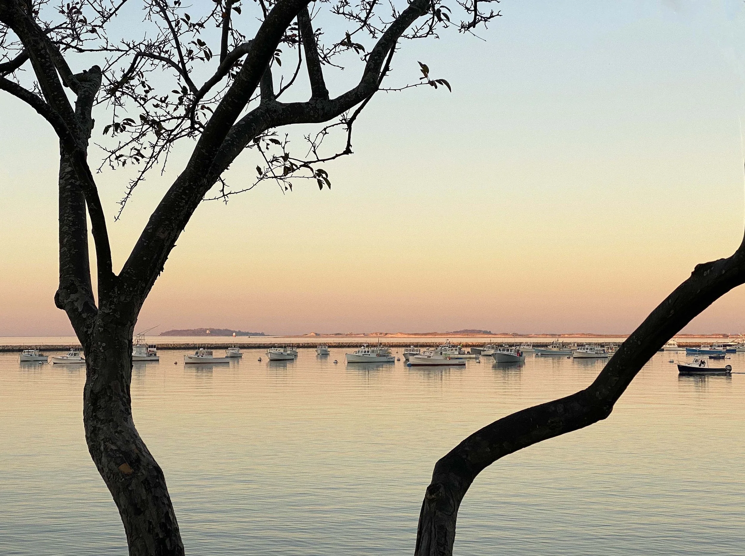 plymouth harbor.jpg