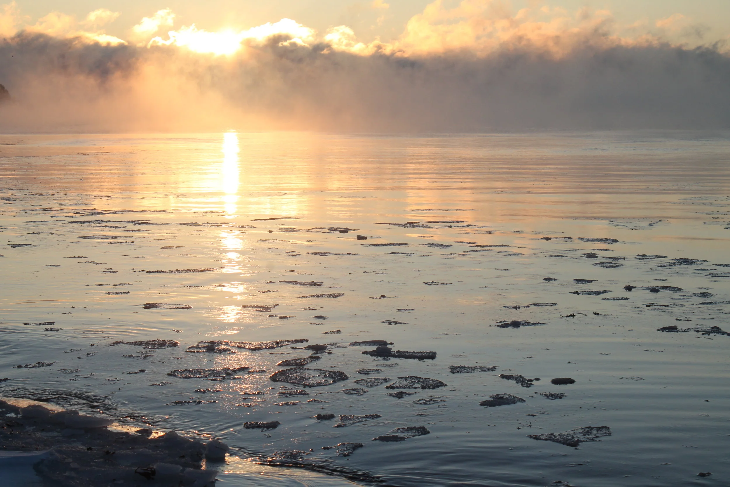 Fundy Fog