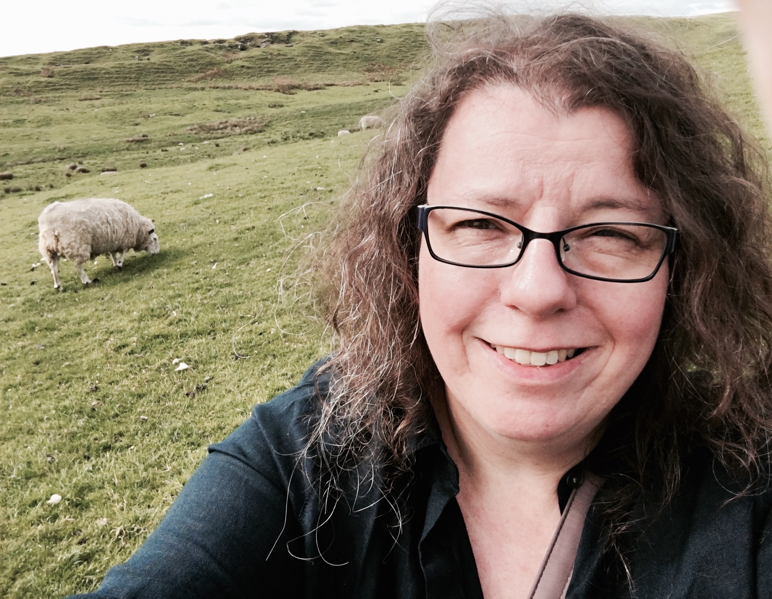 Yes, that's a sheep. Think of it as yarn on the hoof.