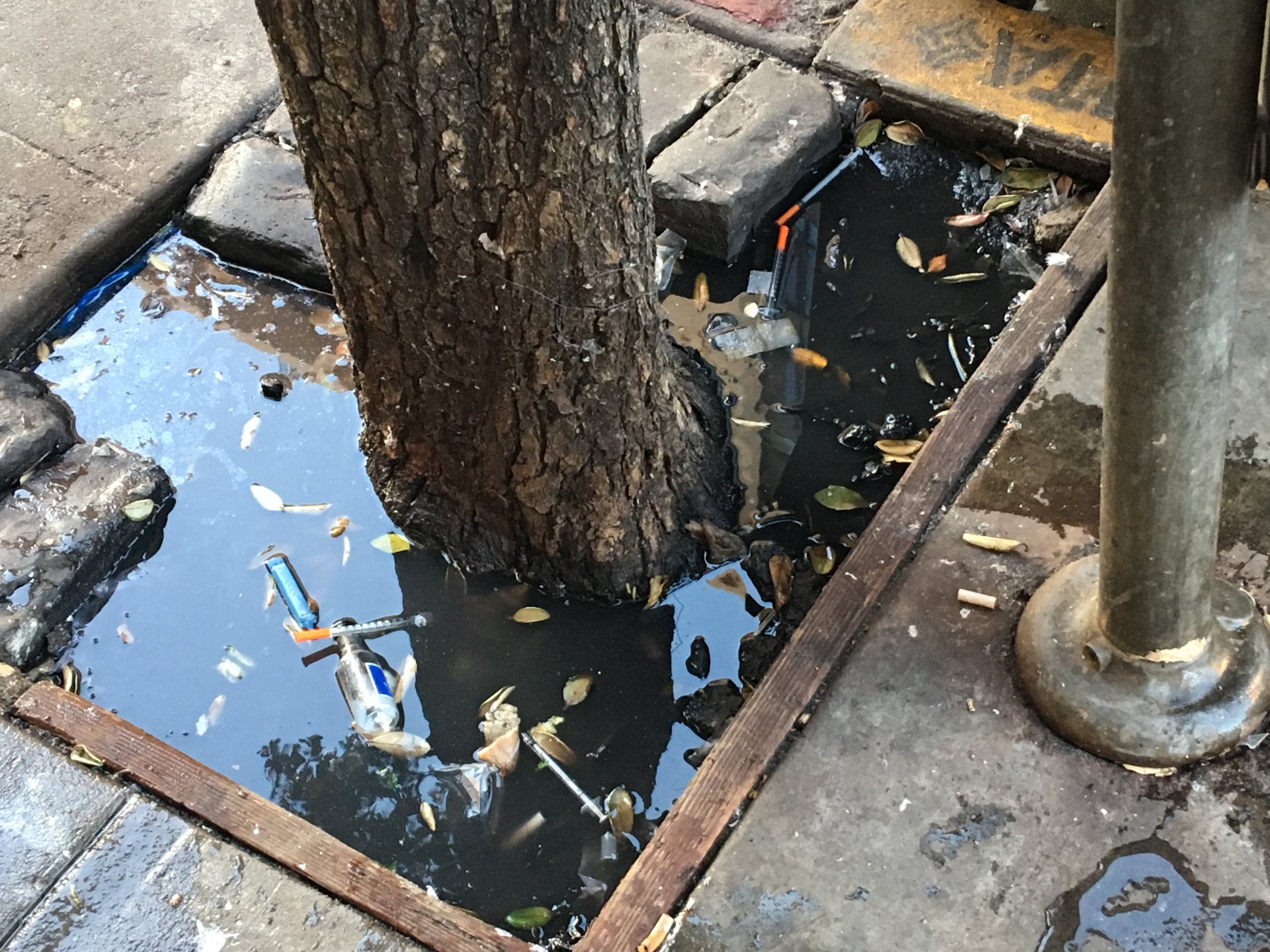 Improperly discarded syringes float in the water of a tree well after the rains. This photo is from the 100 block of Golden Gate Avenue, on the north side of the street. Photo: TLCBD Clean Team