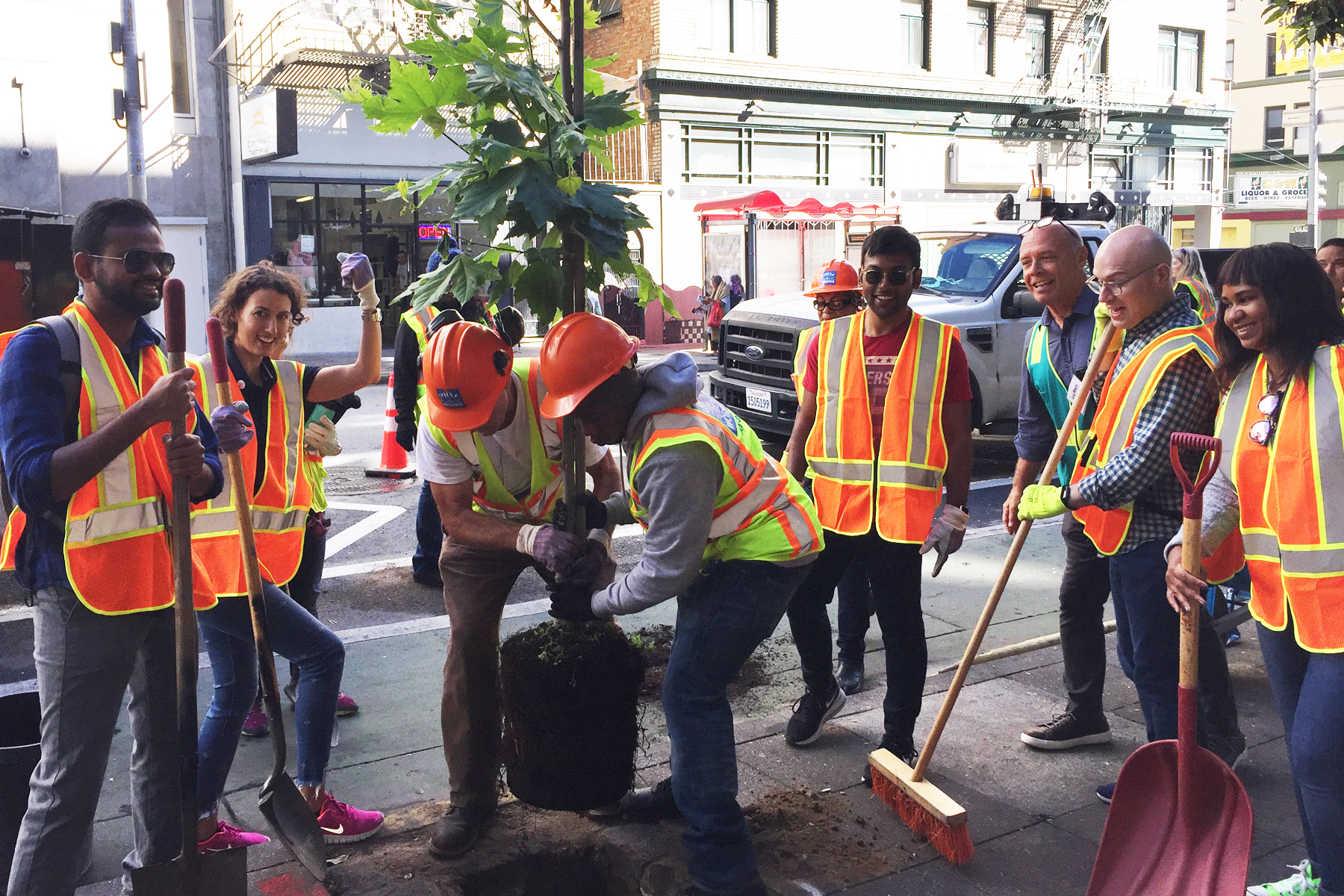 Tree Planting with ZenDrive volunteers