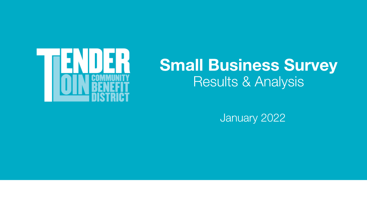 Economic Opportunity Small Business Survey