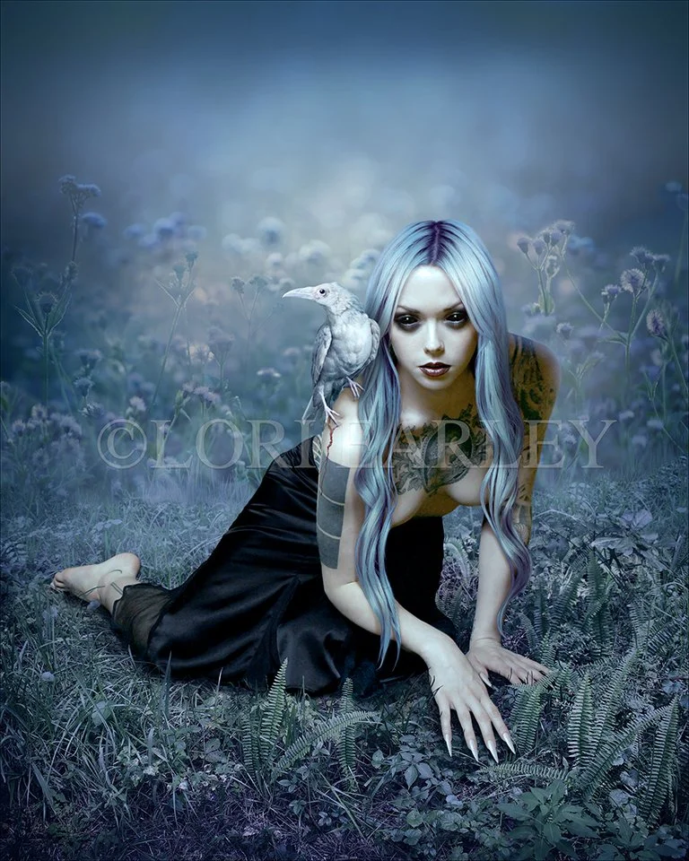 EARLEY PLIGHT OF THE WHITE RAVEN REVISED WEBSITE.jpg