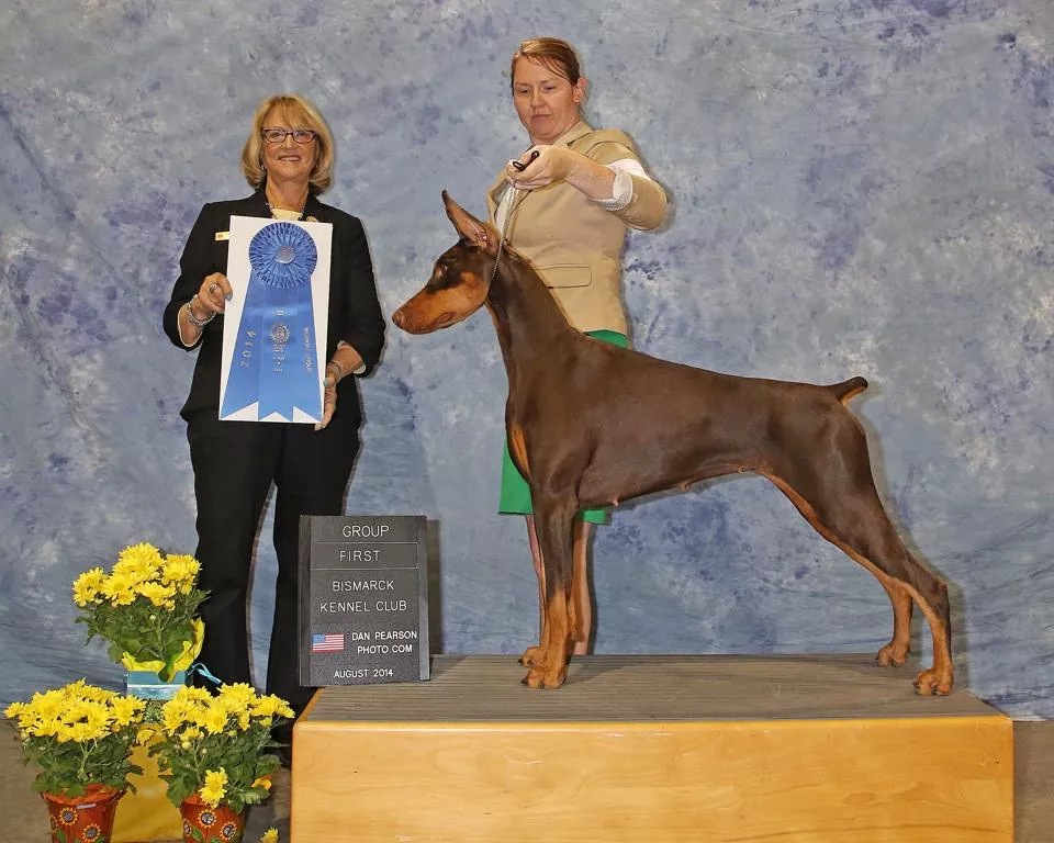 BISS AM GCH/BIS CAN GCHEx Sunburg's Sweet Emotion RN