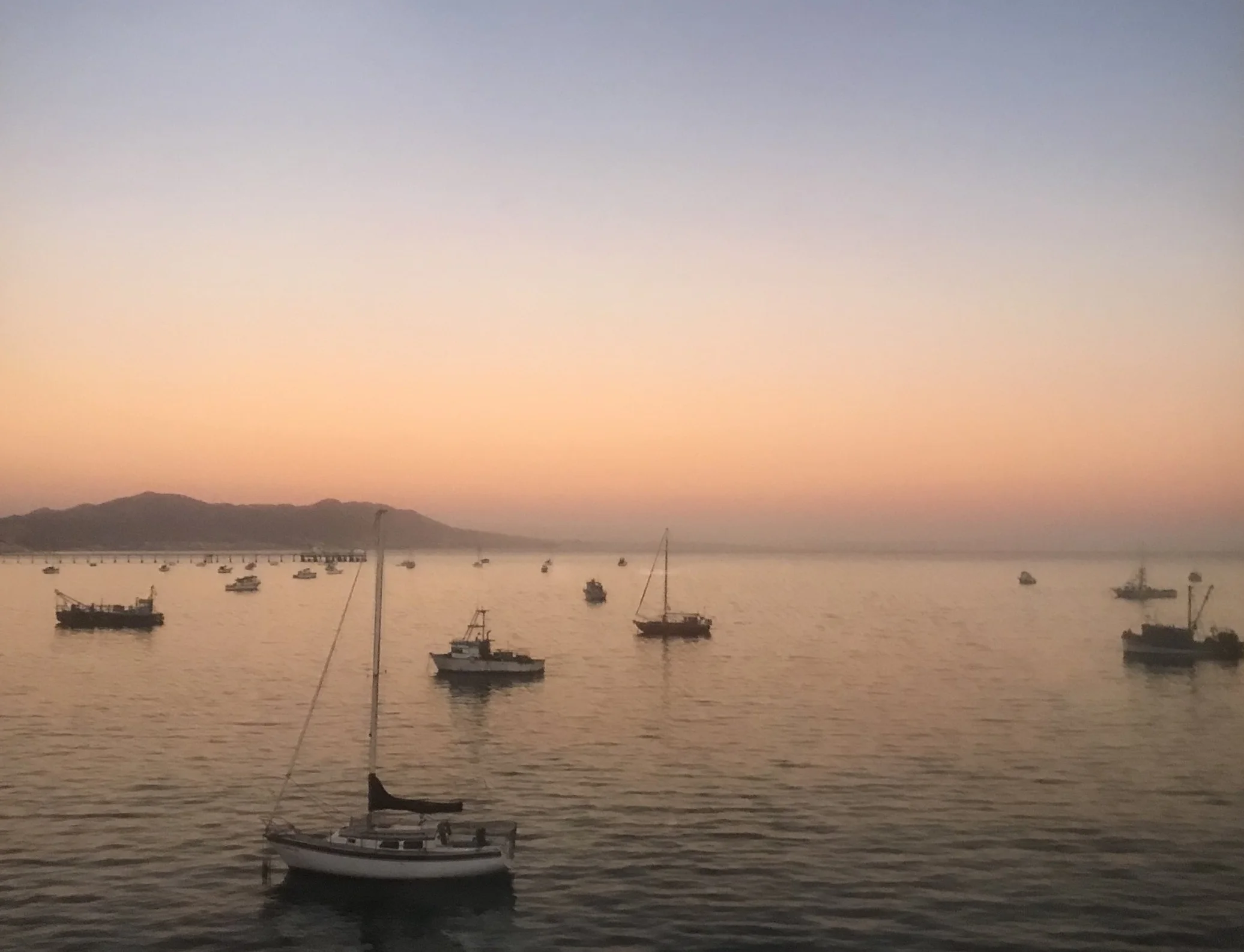 803614EB-BE65-4EDB-8B79-5F5B4E89C868.jpeg