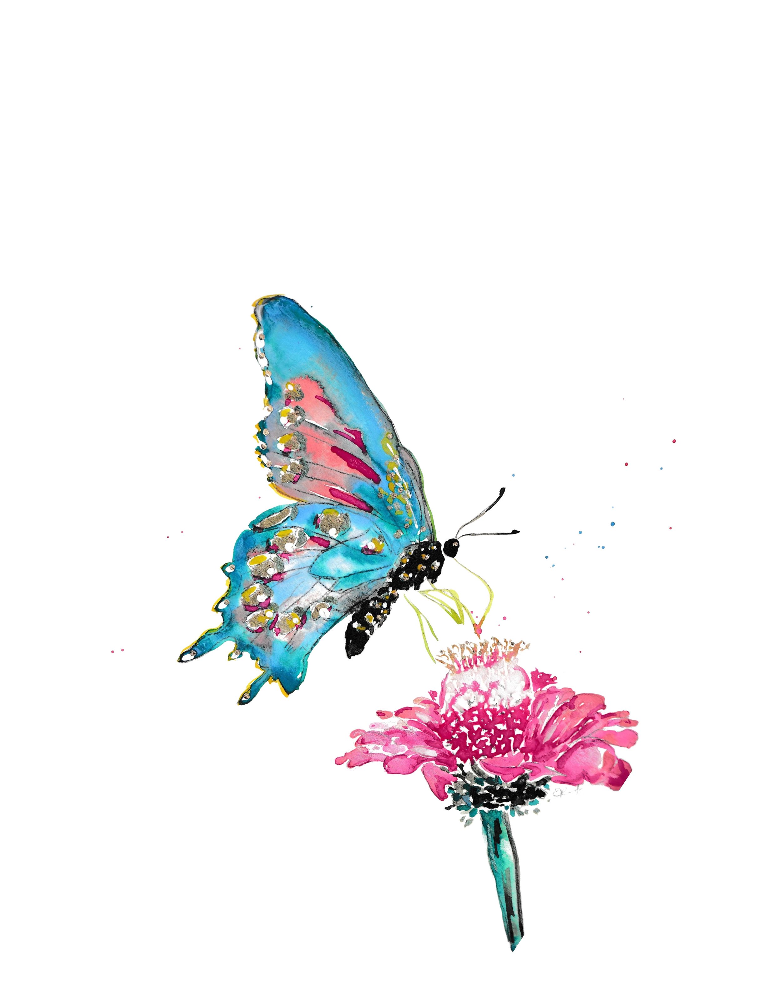 Butterfly with conflower2.jpg