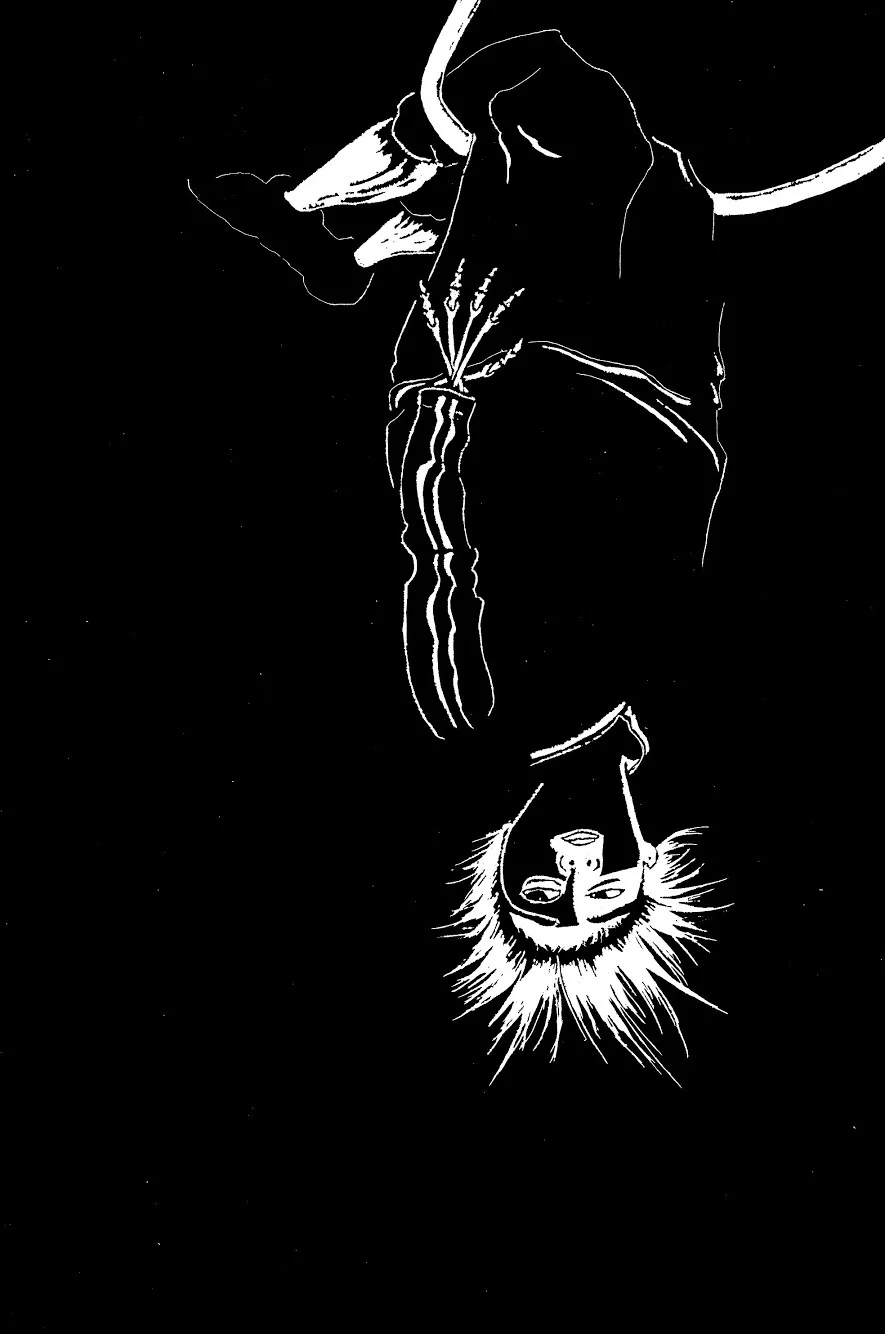 artwork by Marco Zavala