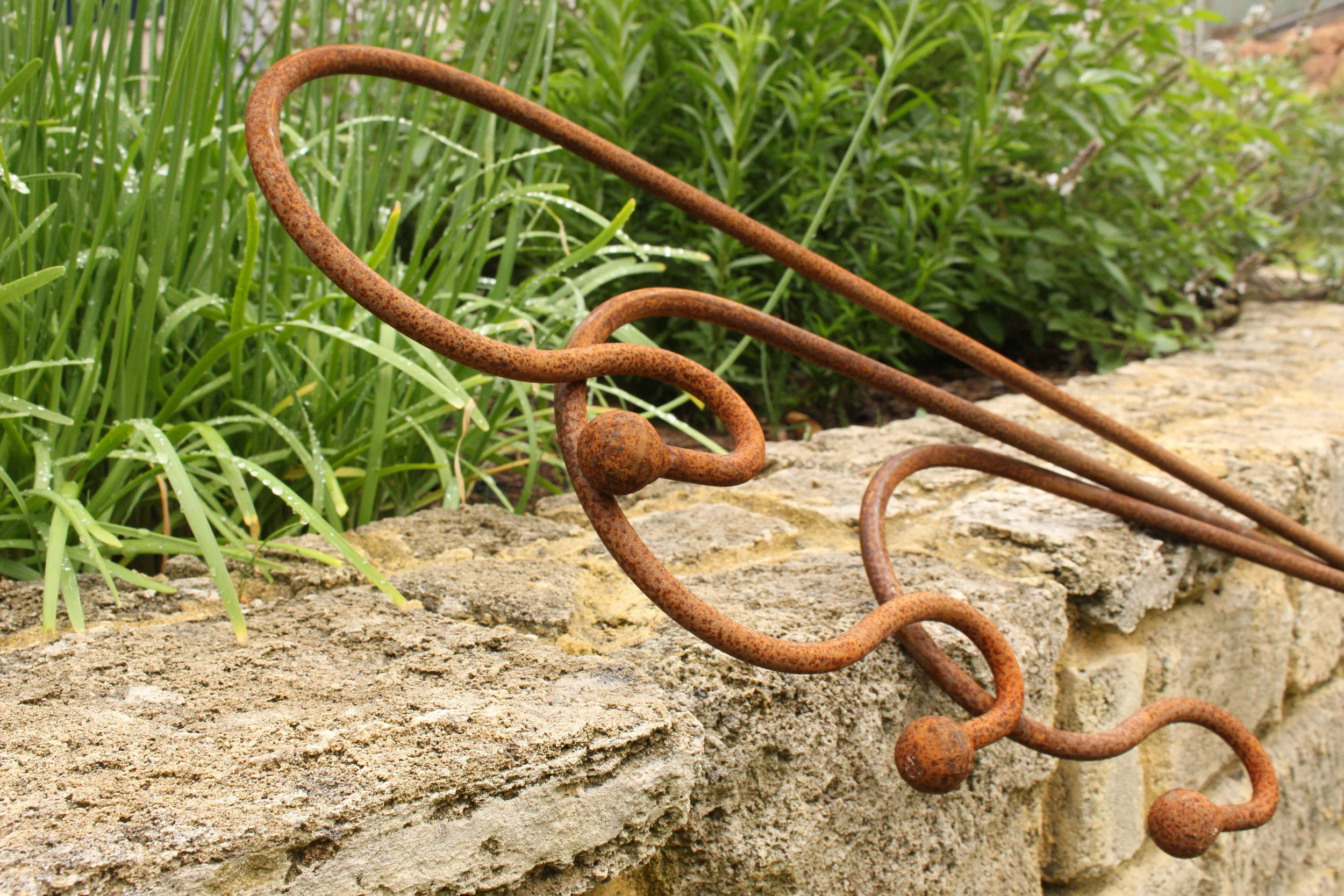 shepherds crook