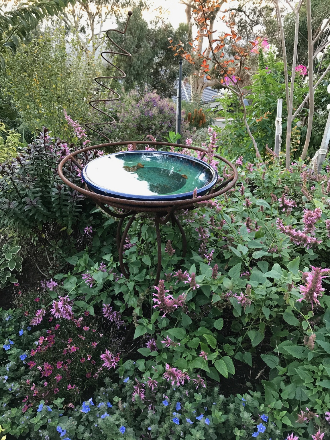 customer birdbath.jpeg
