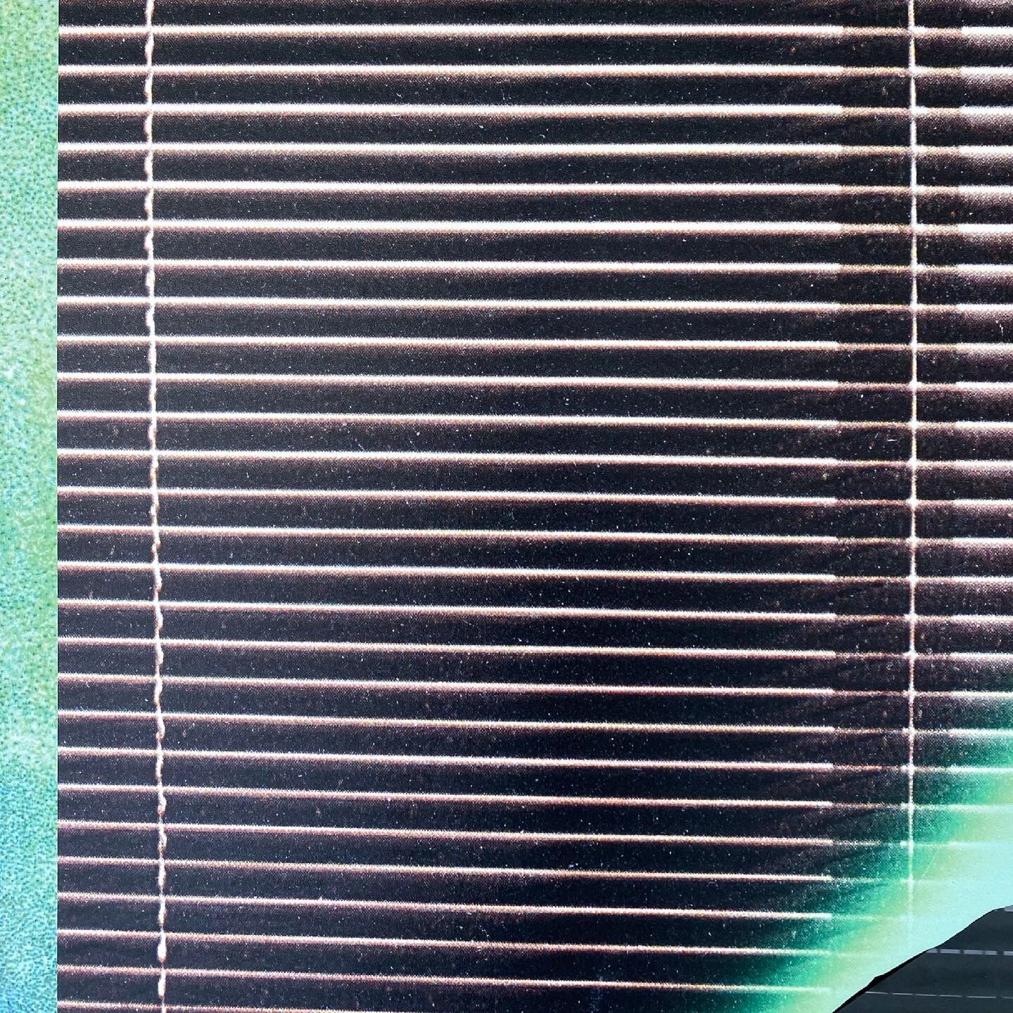 B3958991-E650-49C5-B409-C073E9A8B8EF.jpg
