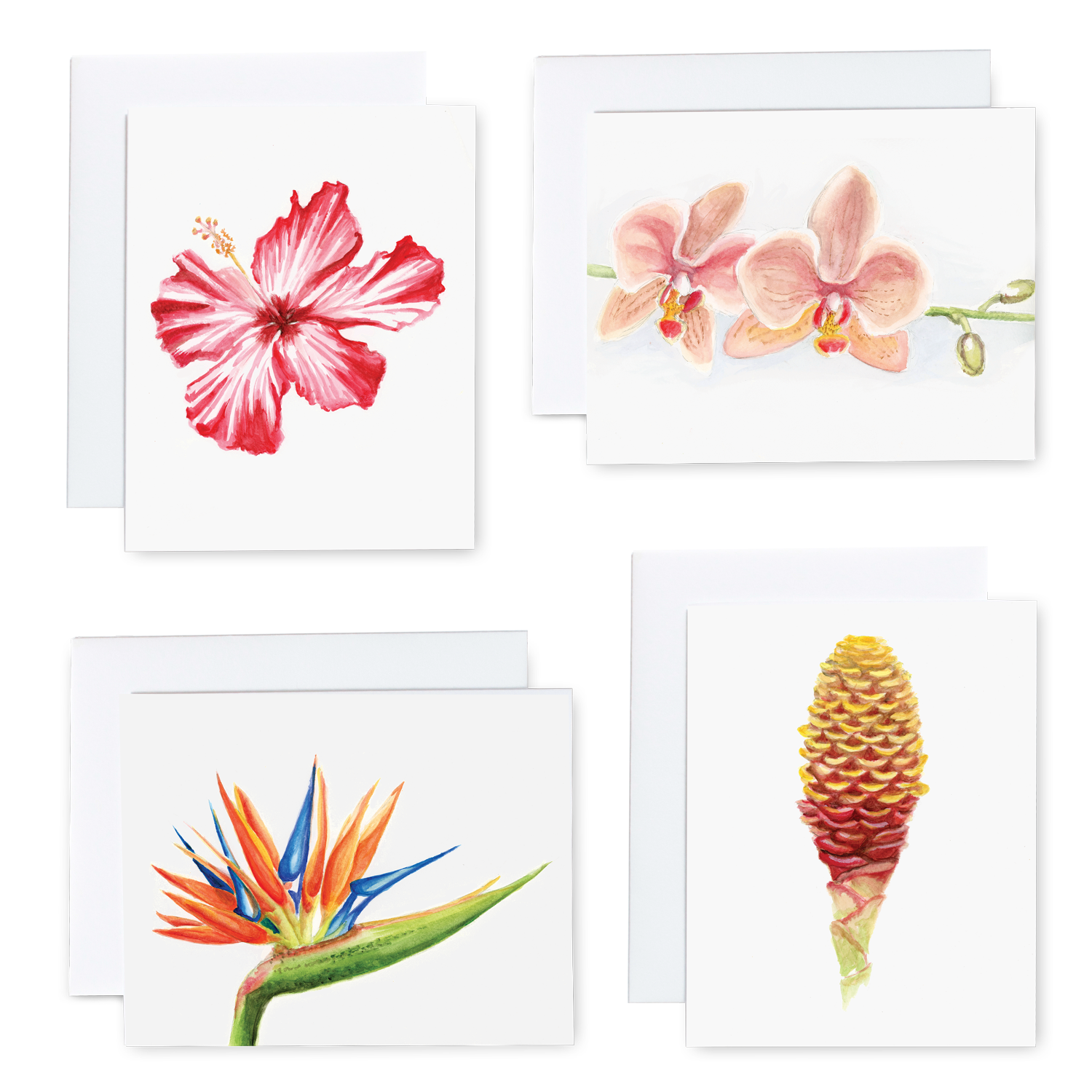 Tropical Cards Set 2.png