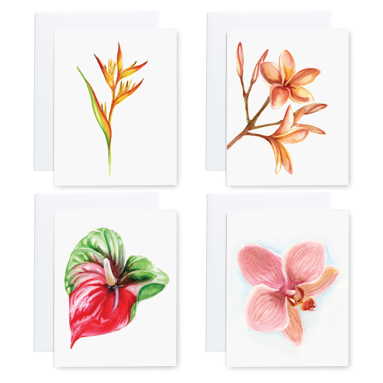 Tropical Cards Set 1.png