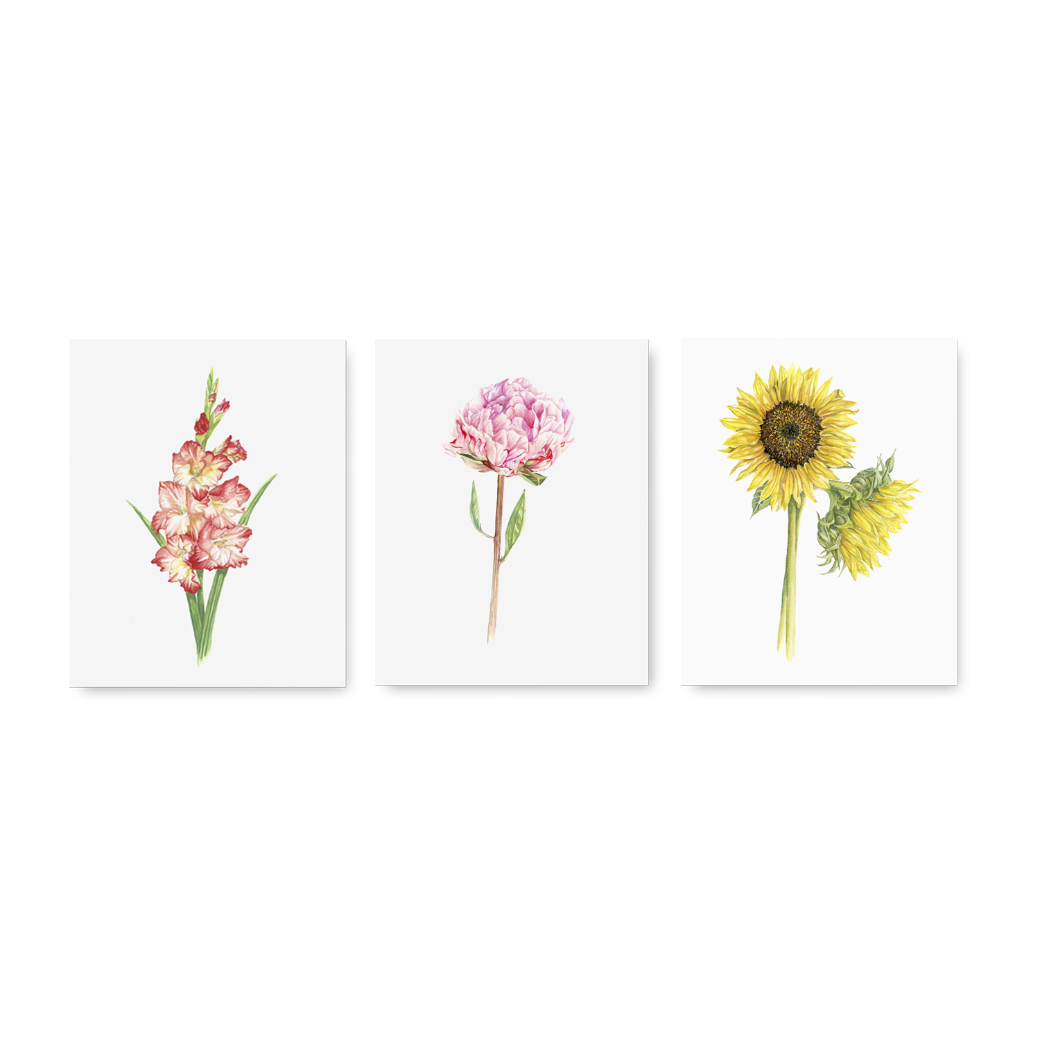 Garden Set1.png