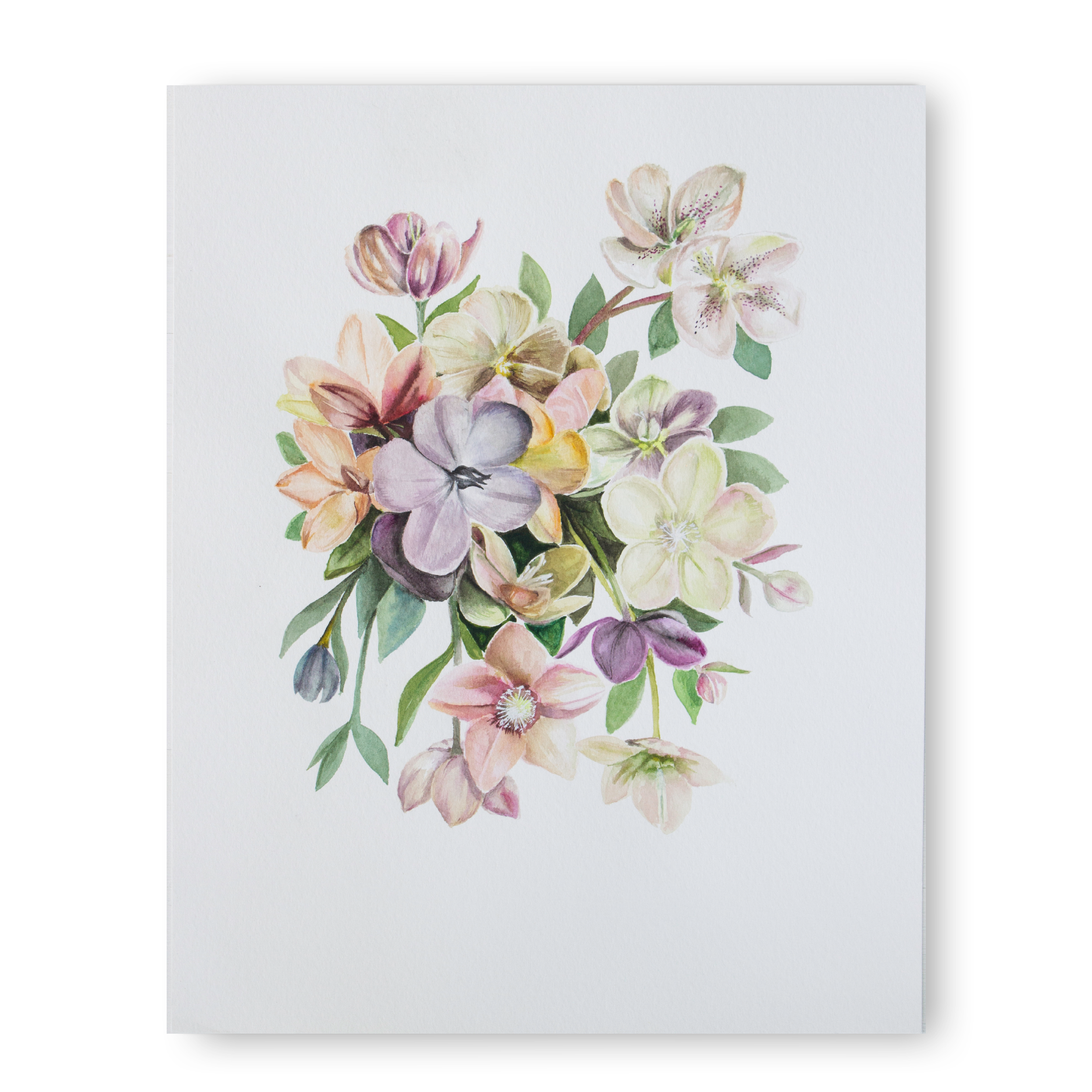 Original Hooray Hellebore