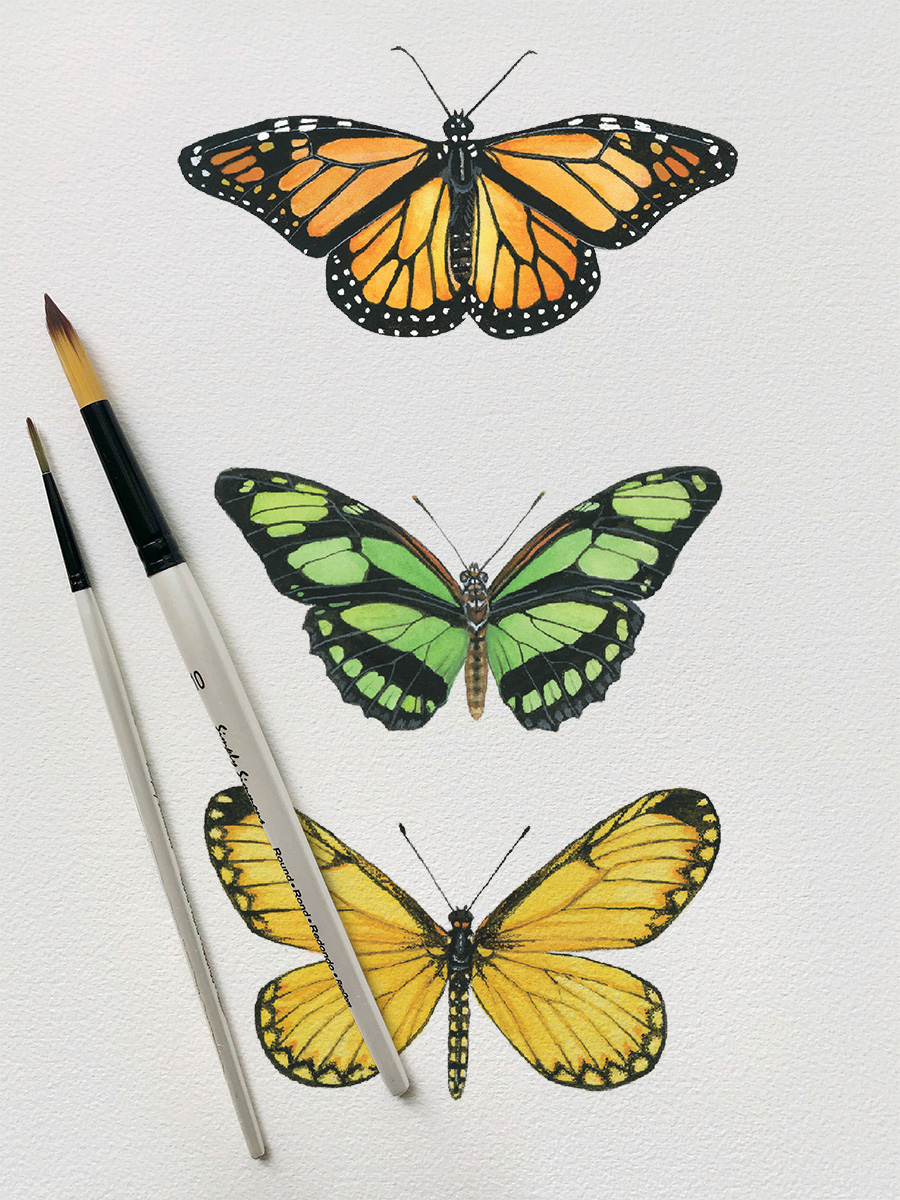 Watercolor Butterfly Workshop1.jpg