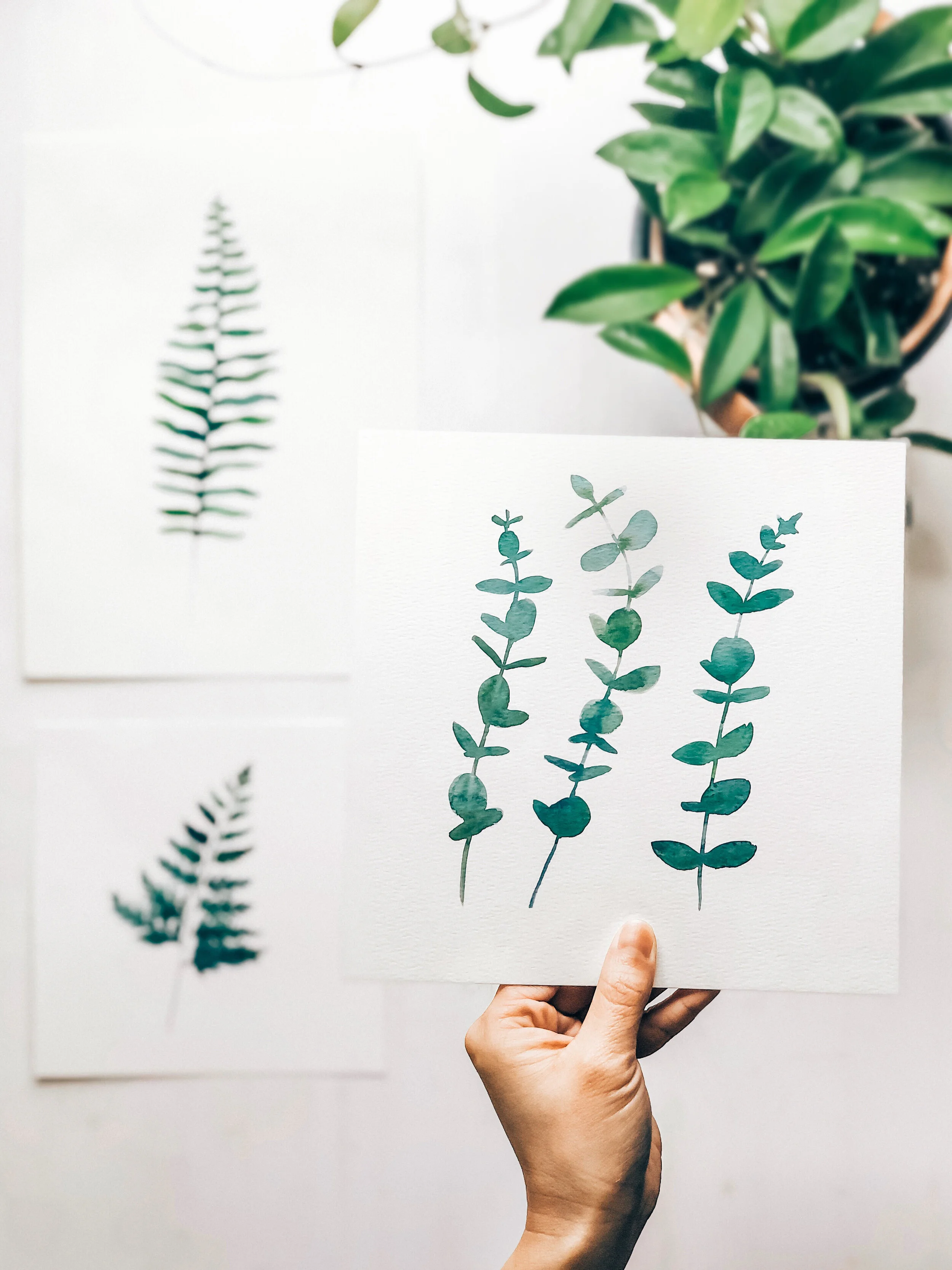 WATERCOLOR BOTANICAL WORKSHOP AT OZARK COLLABORATIVE