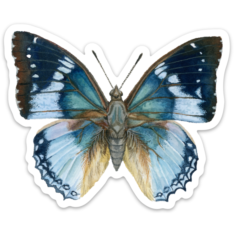 Butterfly Sticker