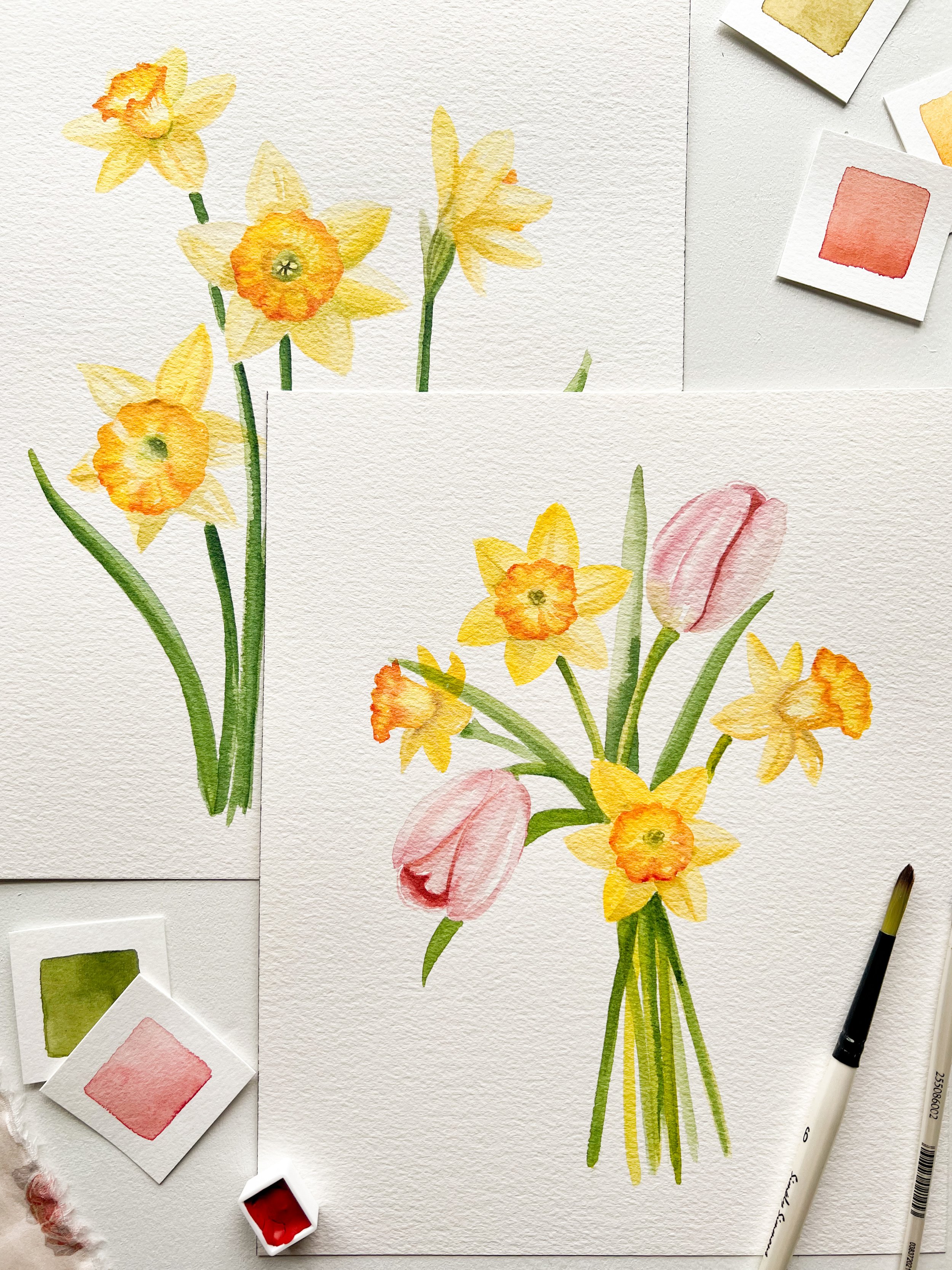 Watercolor Daffodils 