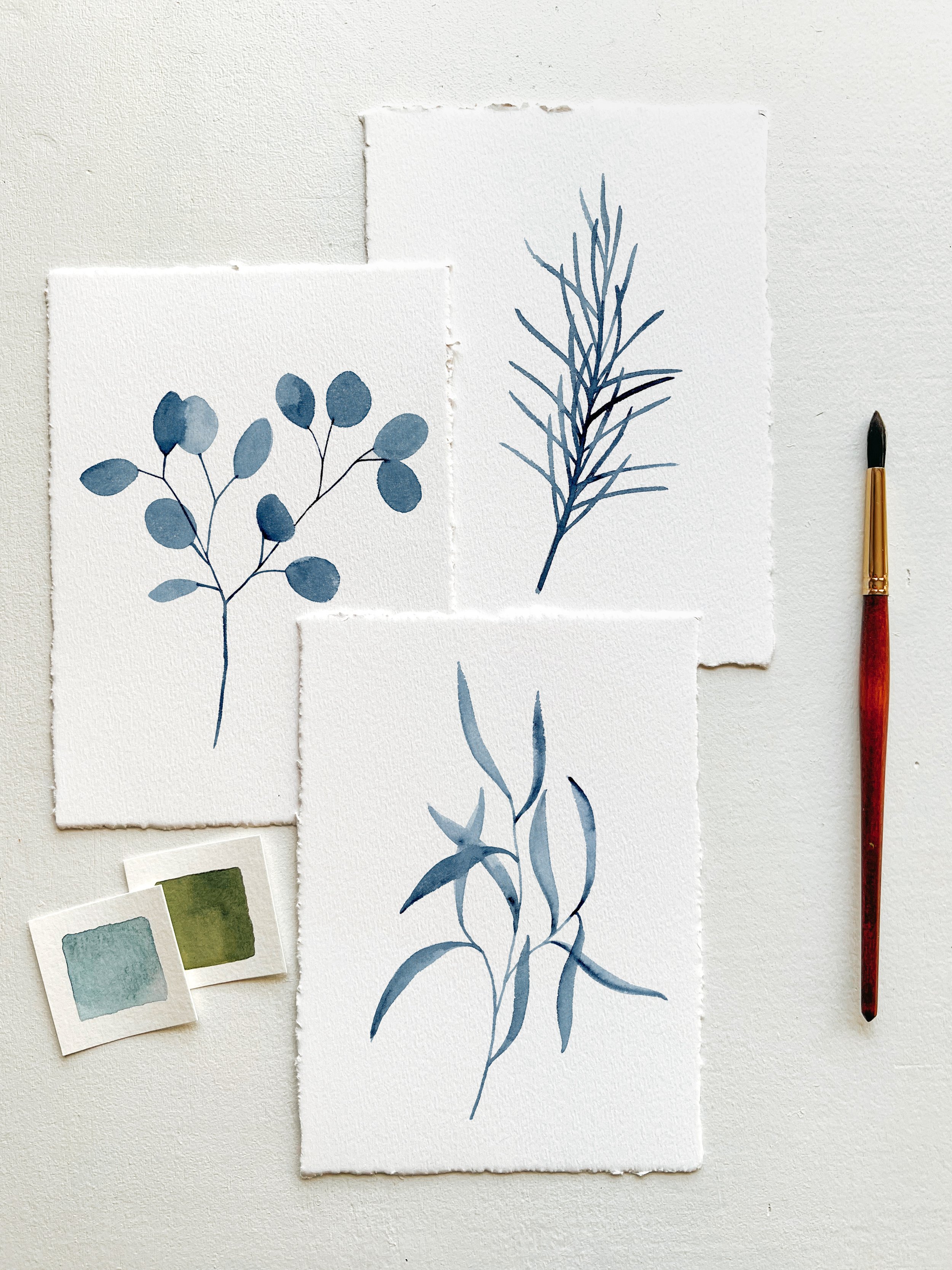 Winter Botanical Workshop 2.JPG