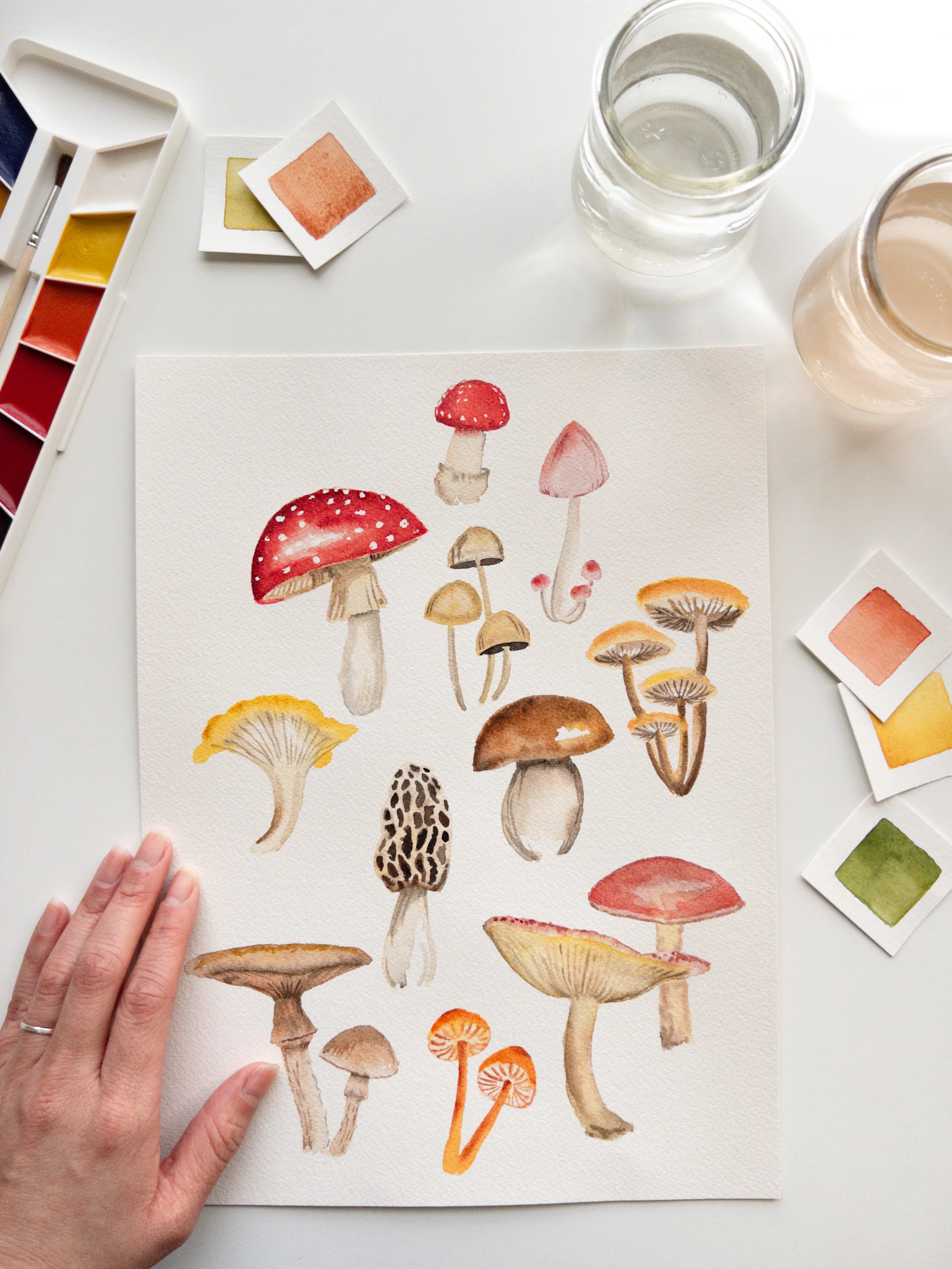 WATERCOLOR MUSHROOM WORKSHOP AT HILLFOLK  