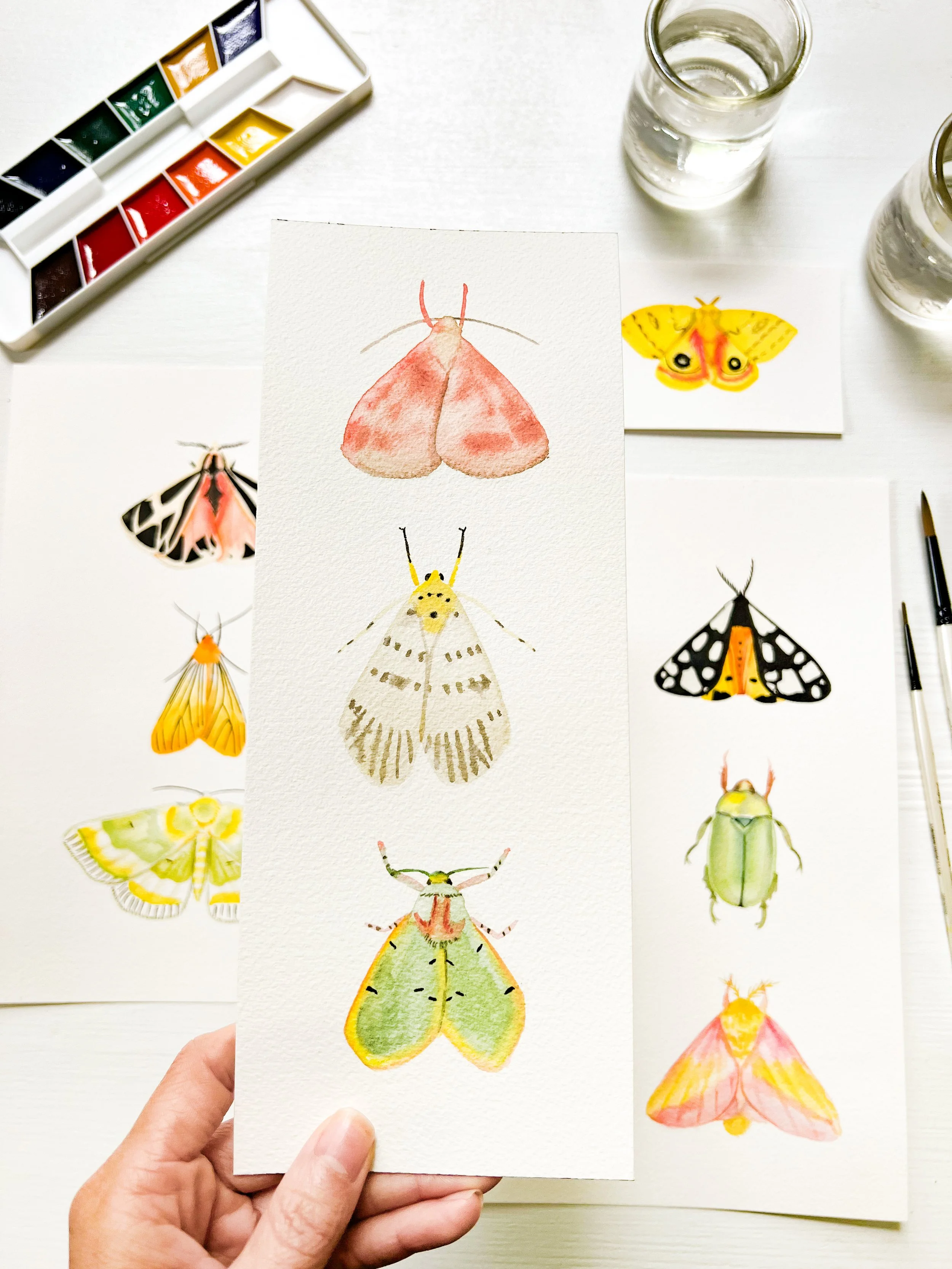 *ENCORE* WATERCOLOR MOTHS &amp; BEETLES WORKSHOP AT HILLFOLK