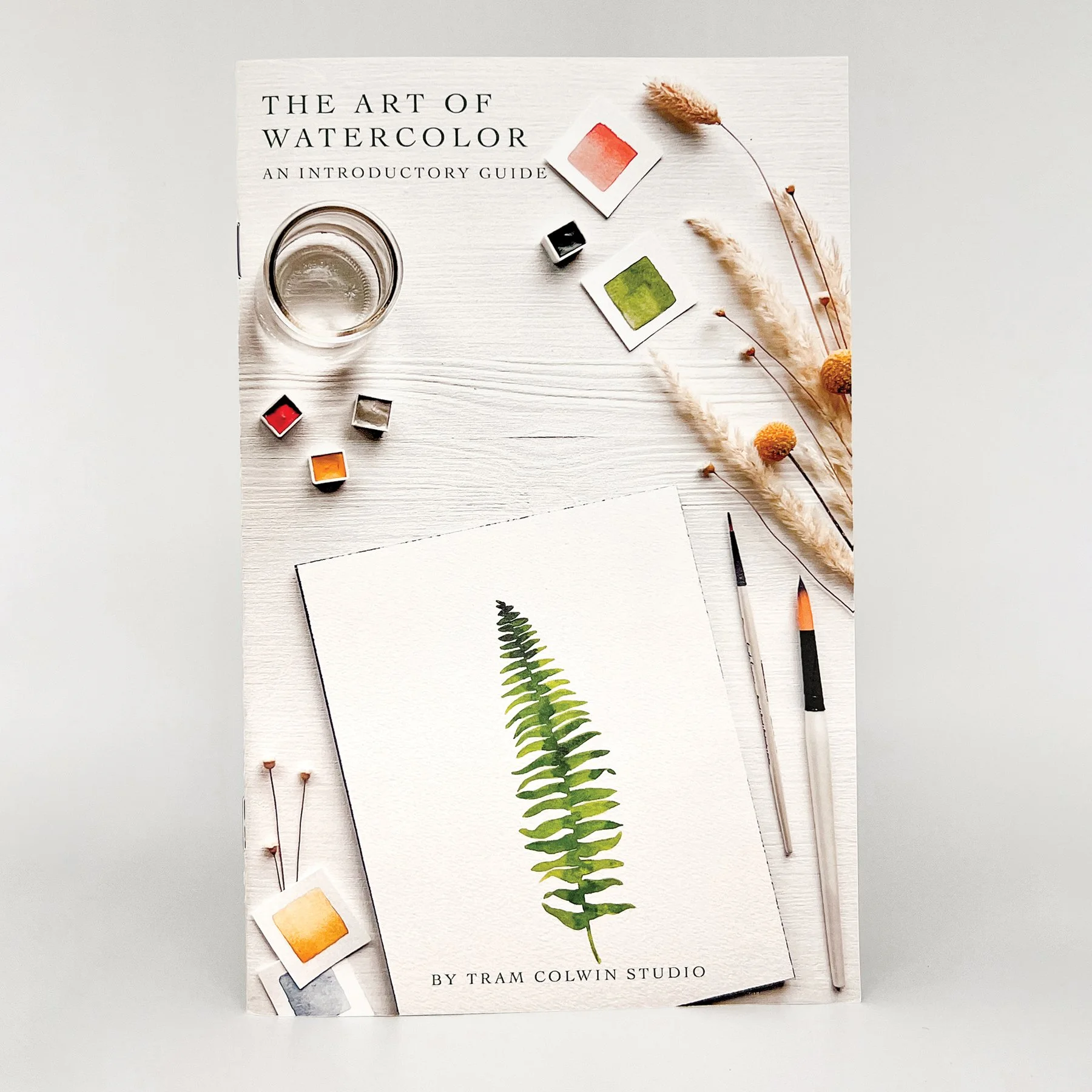 Introductory Guide Square 1.JPG