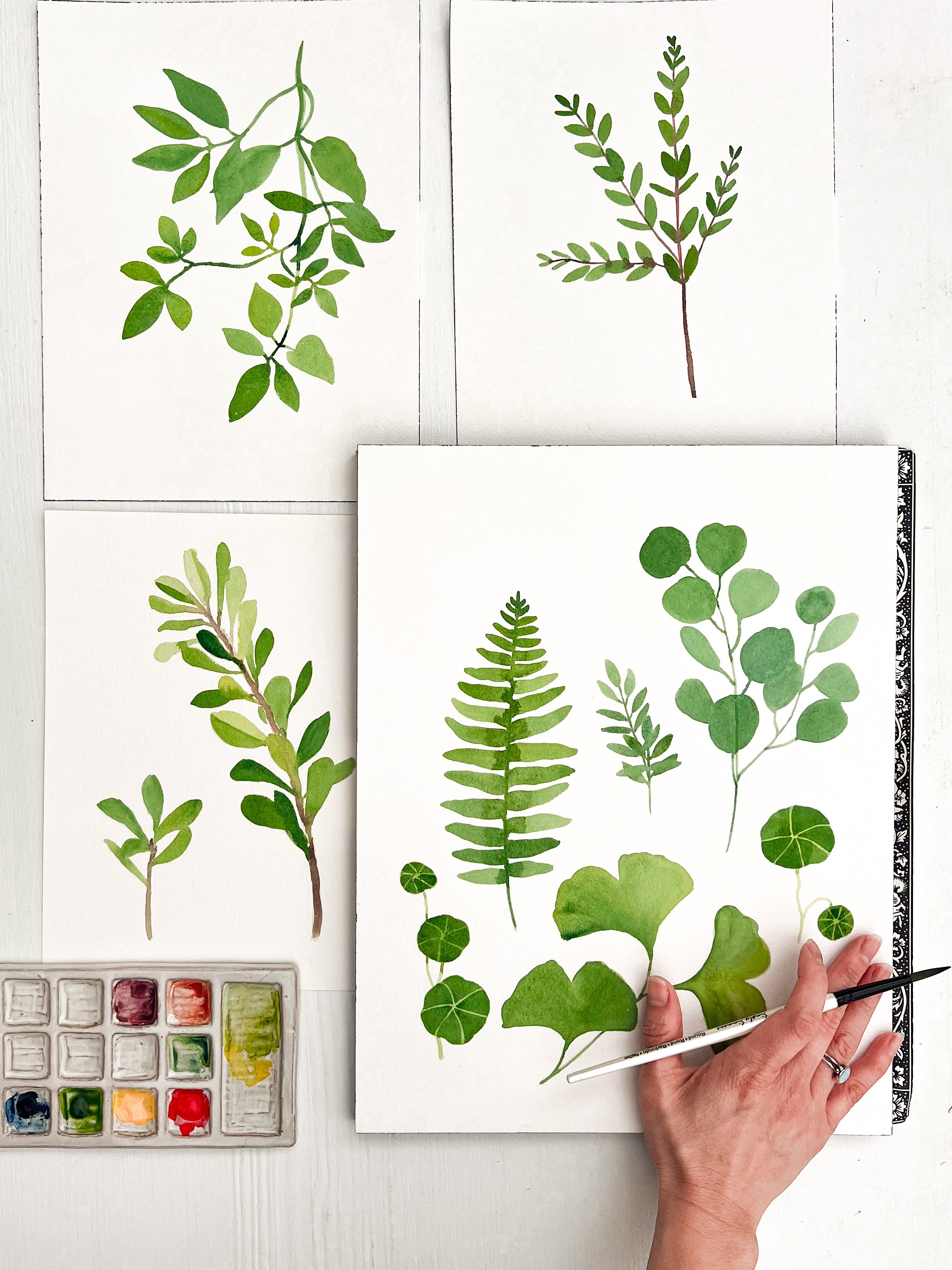 WATERCOLOR  BOTANICALS WORKSHOP AT HILLFOLK 