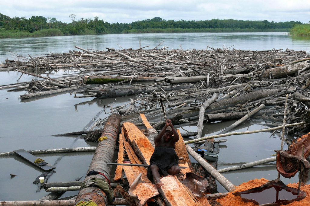 Credit: CIFOR ( CC BY-NC-ND 2.0 )