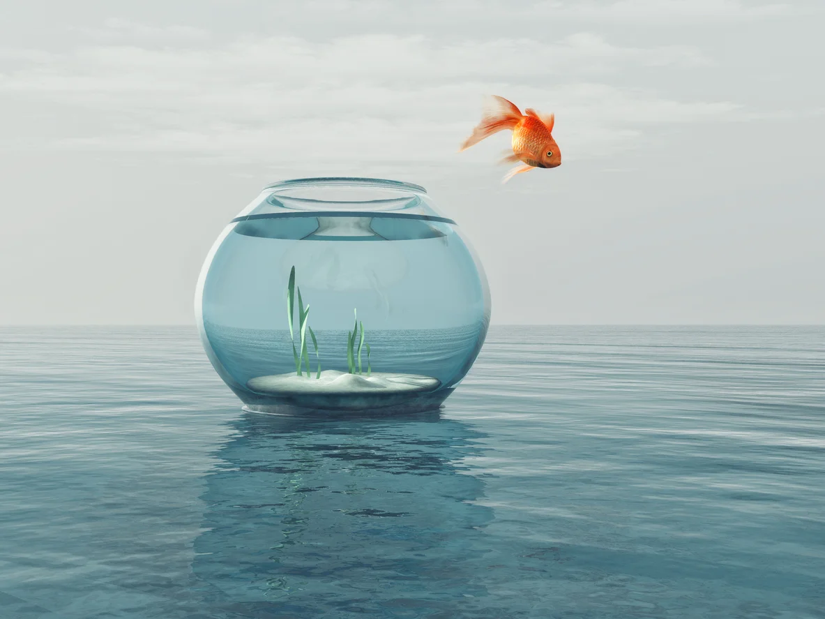 iStock-810130116.jpg