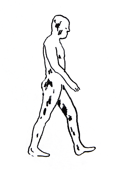 AEM_walk3a.gif