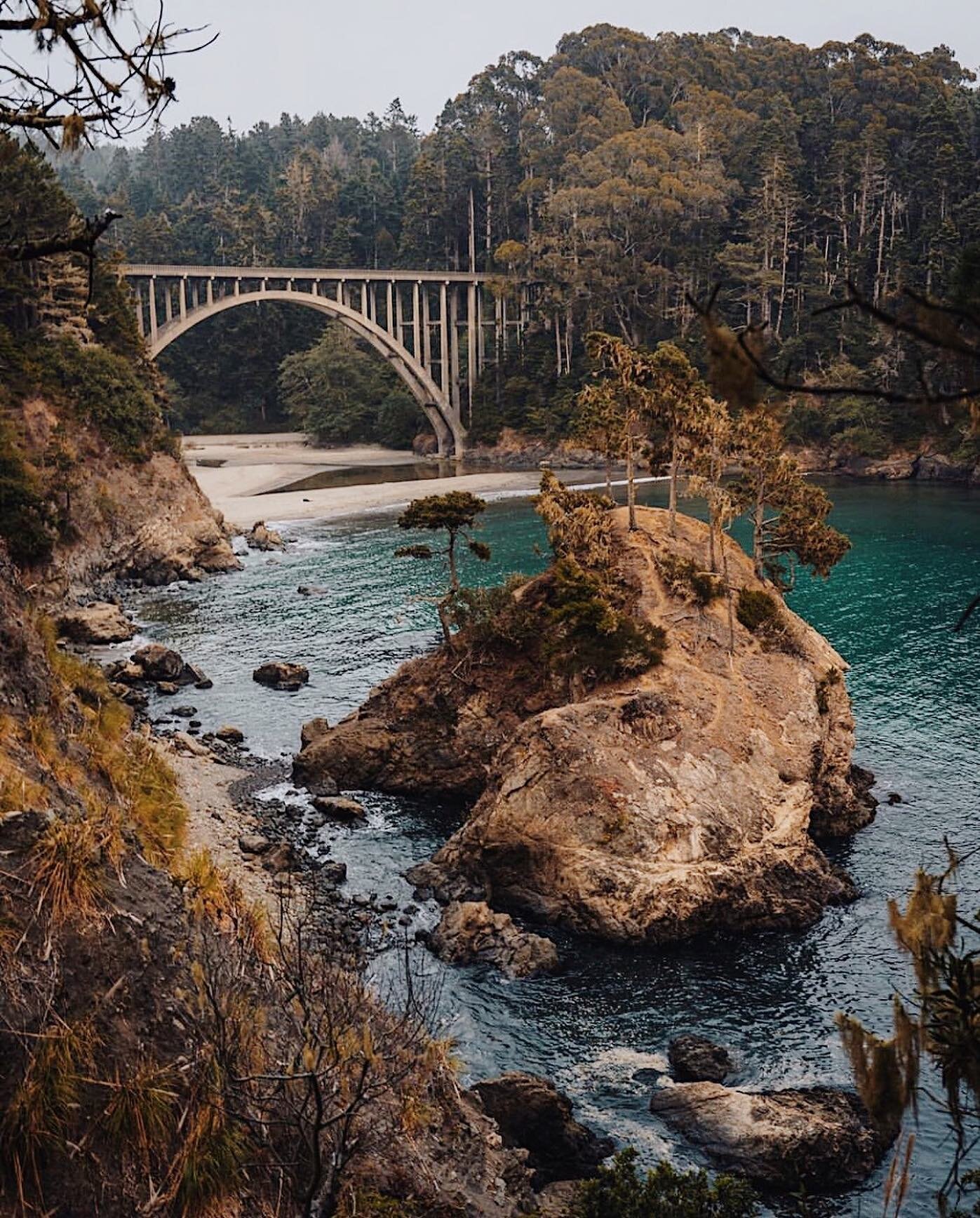 Russian Gulch State Park - A beautiful spot to hike and explore.

Photo by @californiathroughmylens