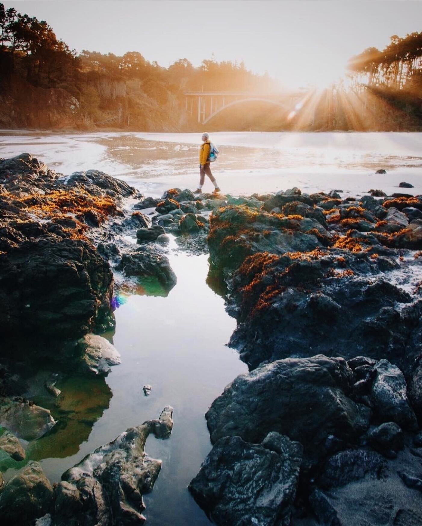 Low tide exploring... you can often see beautiful sea anemones and other coastal creatures ...

Photo by @brooke_weeber