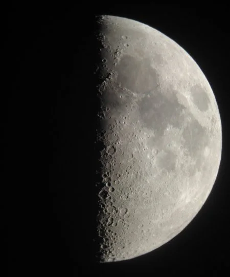 Credit: John French, Michigan State University